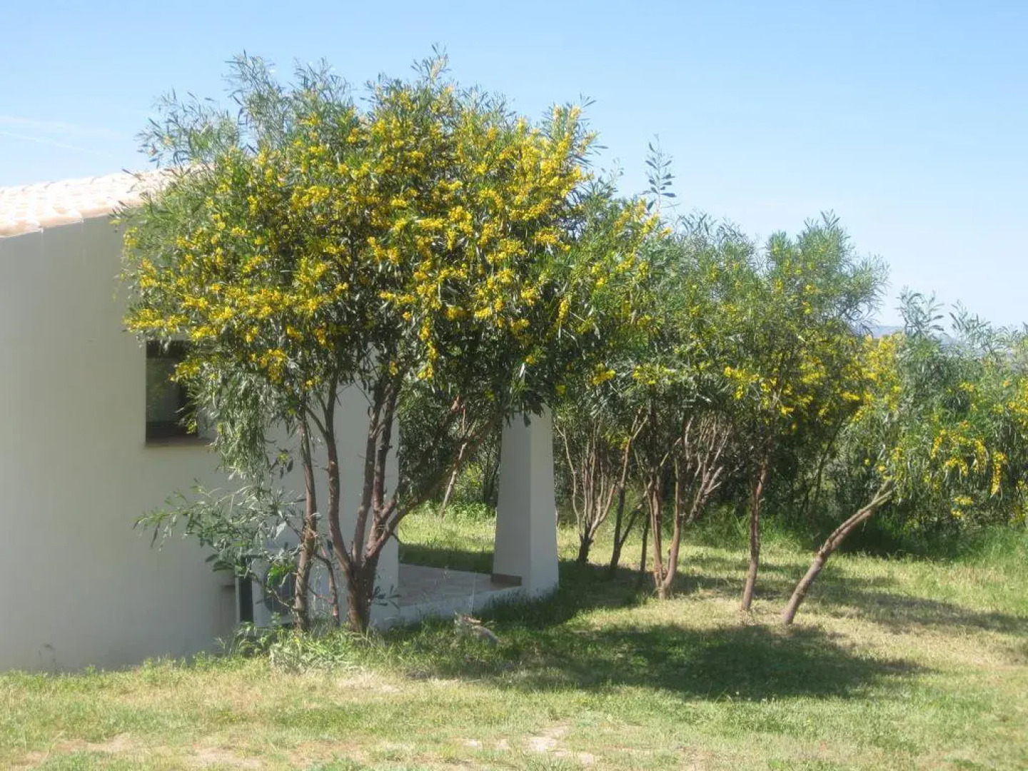 Hotel Borgo Alba Barona