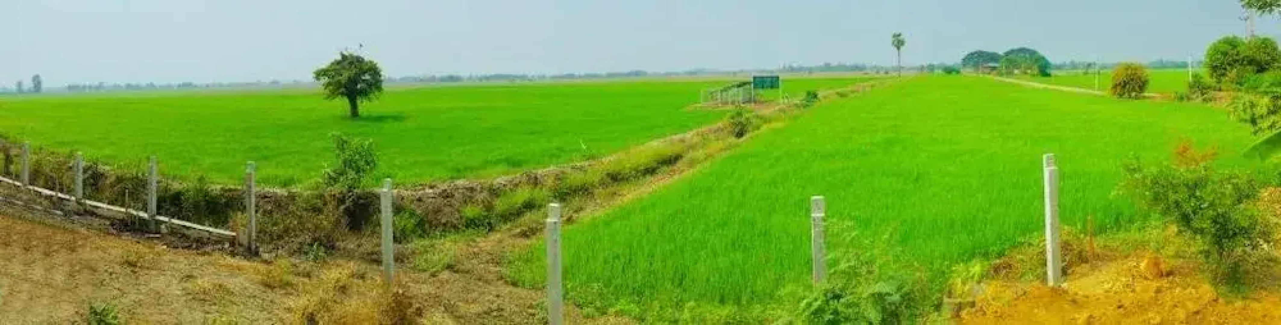 Rim Thung Mae La Resort