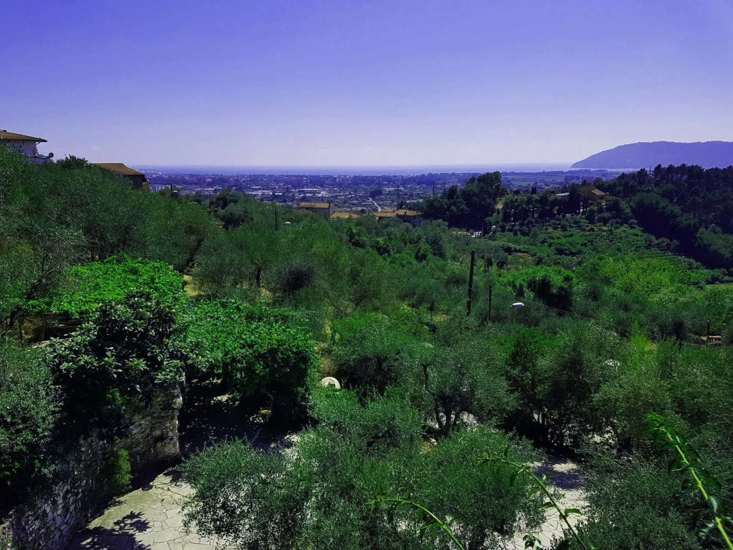 Belle Èpoque - La Villa Imperiale