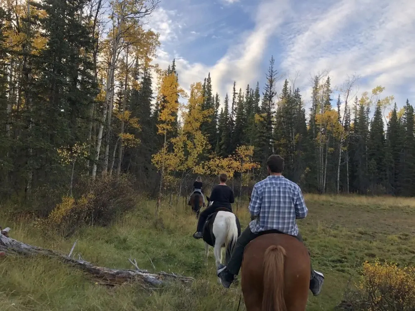 Red Cariboo Apartments