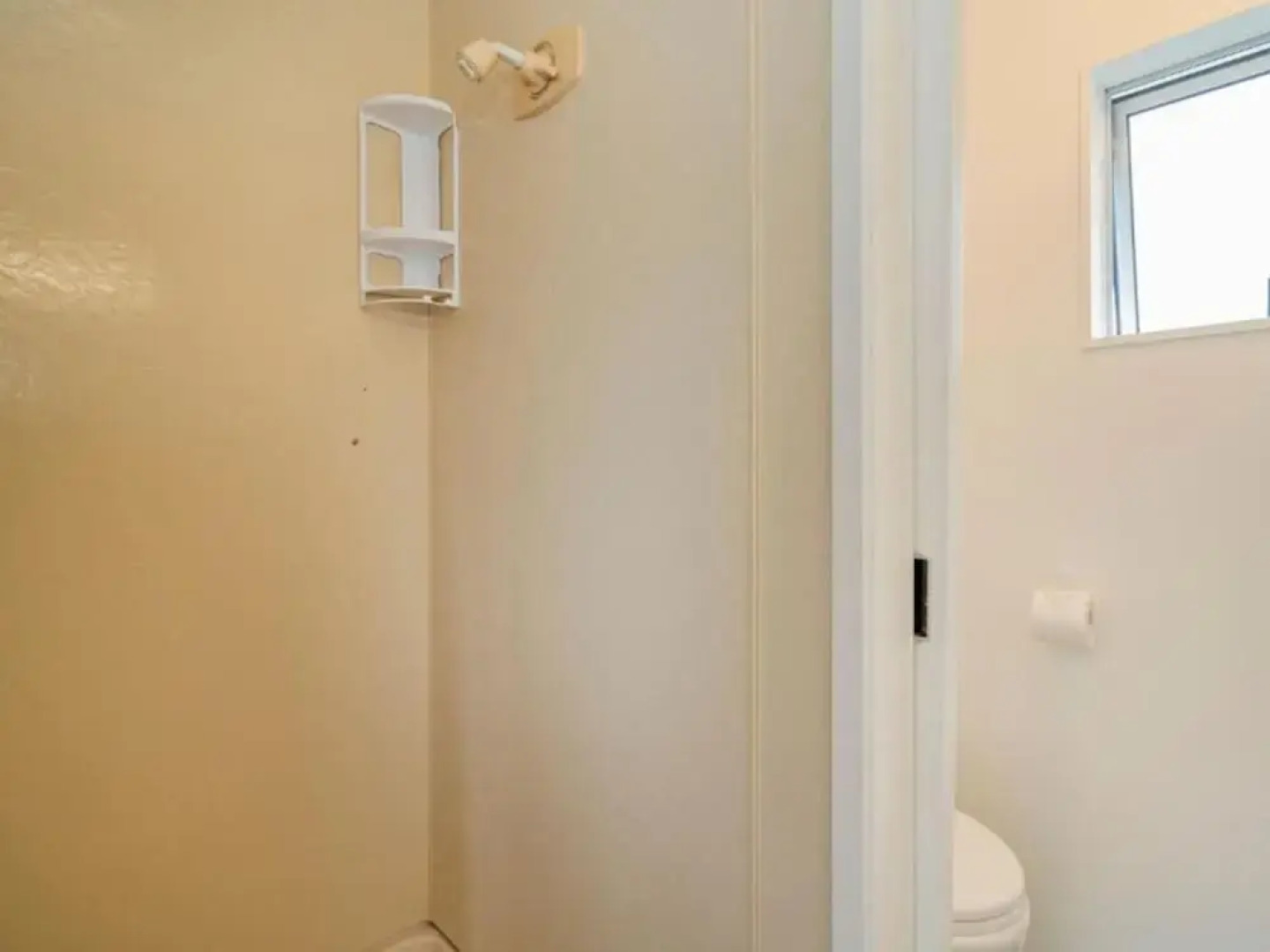 Coromandel Shelly Beach TOP 10 Holiday Park