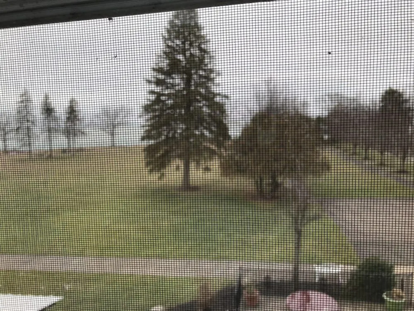 SunCliff on the Lake