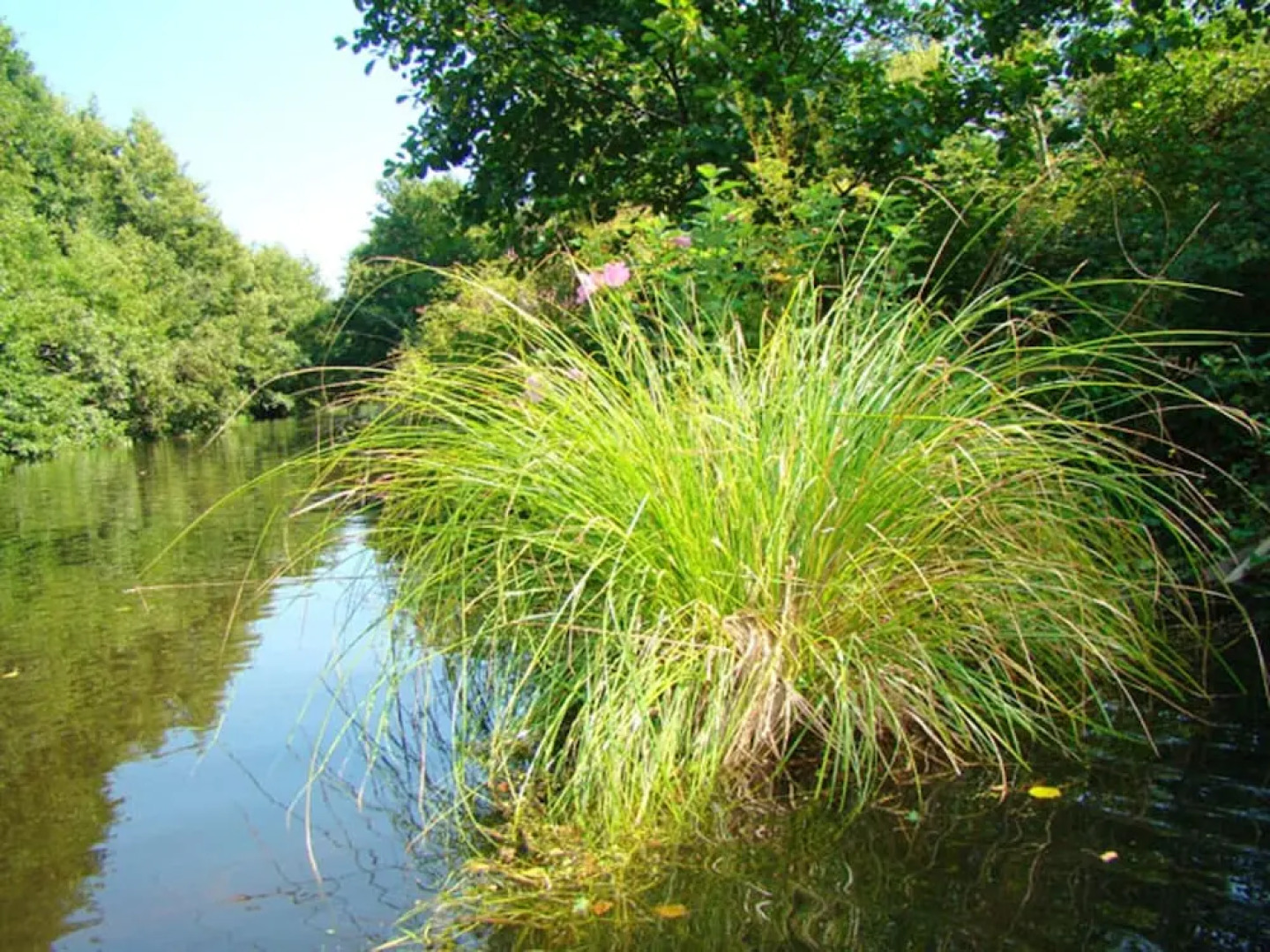 Property With 3 Bedrooms in Saint-julien-en-born, With Shared Pool, Furnished Terrace and Wifi - 4 km From the Beach