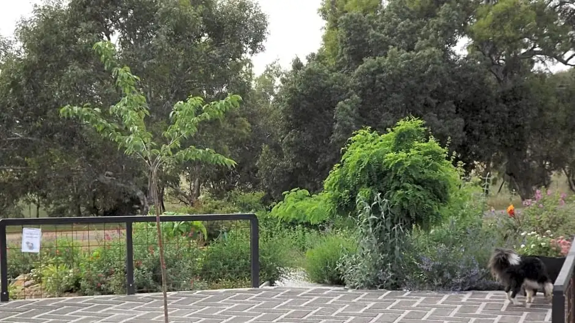 Barklysuites Apartments