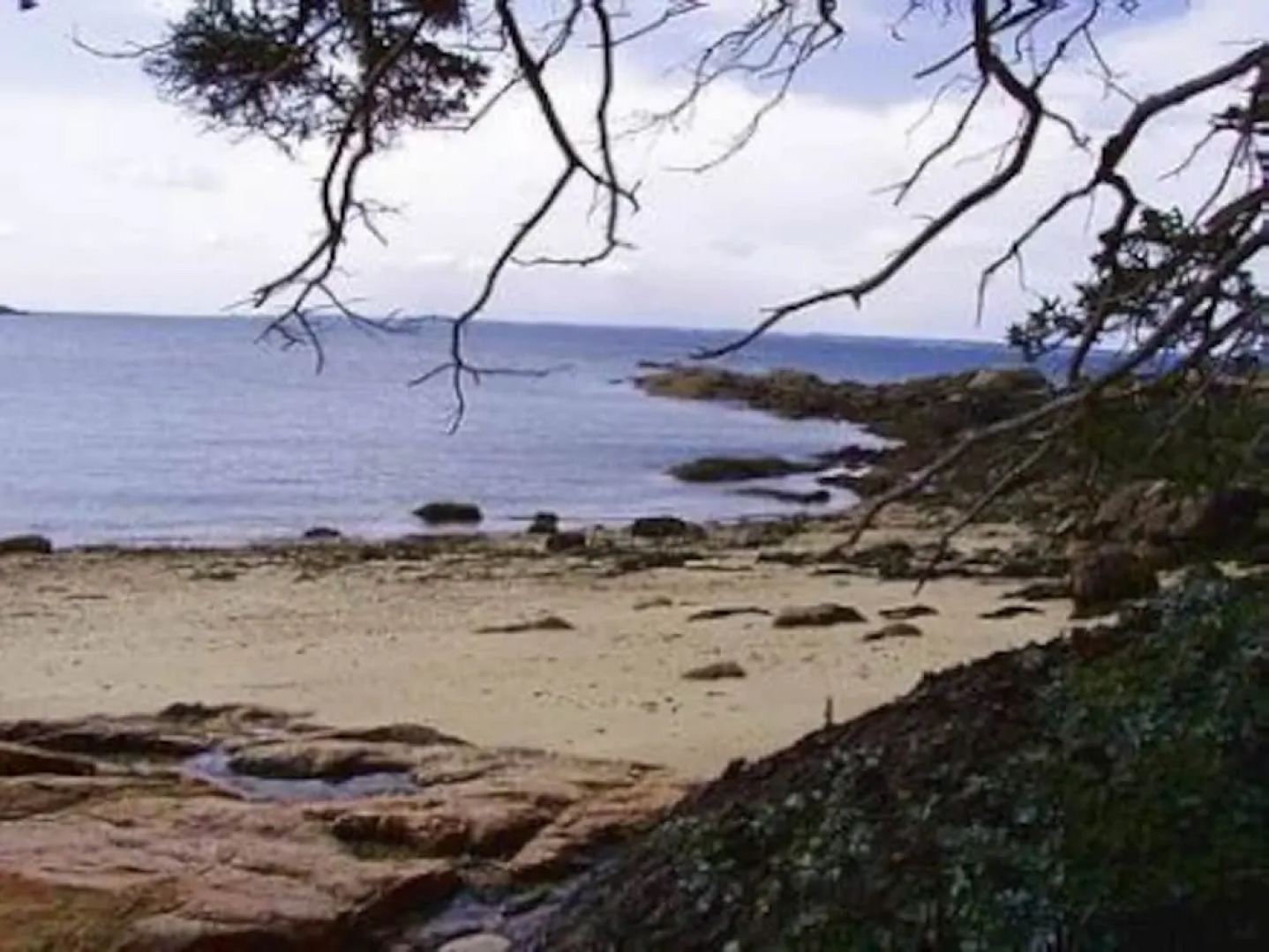 Wolfhound Cottage - One Bedroom Home