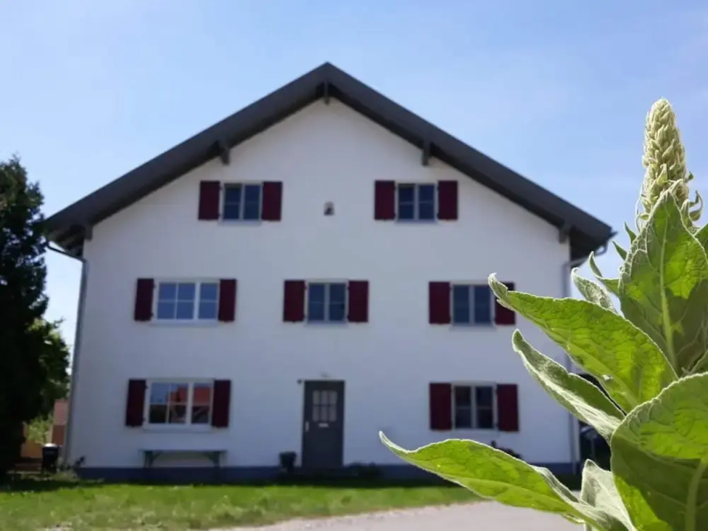 Schleichhof Ammersee