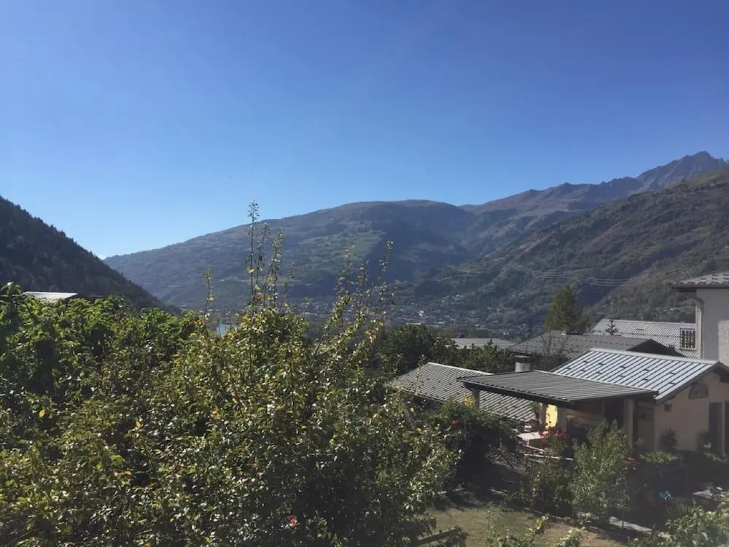 Résidence des Epinois Bouleau