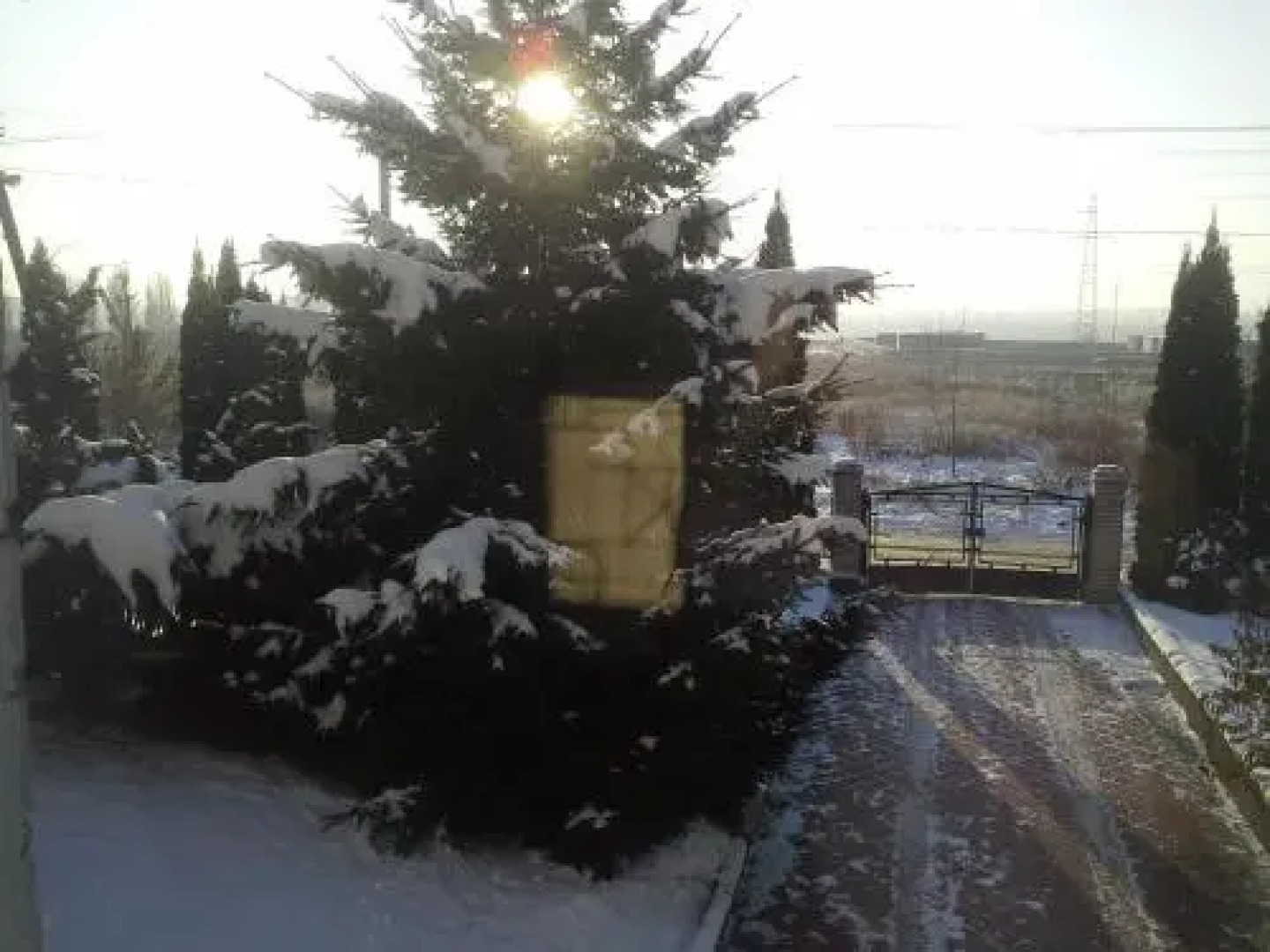 Guest House v Petrovskom