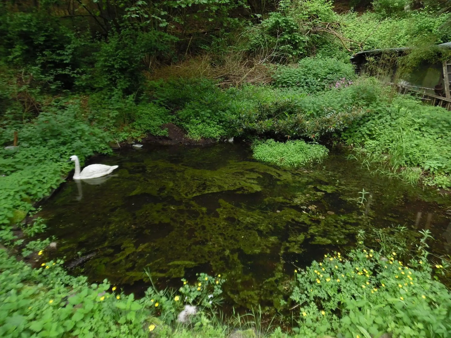 Wellness und Romantik Hotel Helmboldt