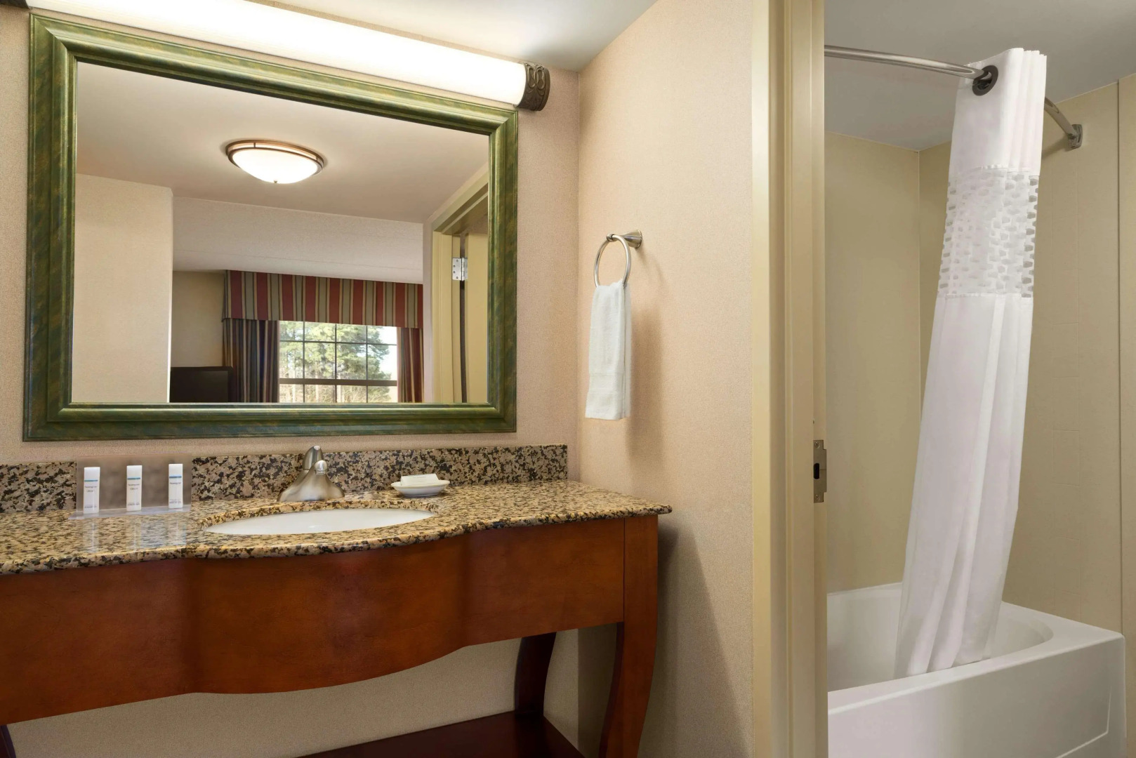 Hampton Inn & Suites Williamsburg-Central