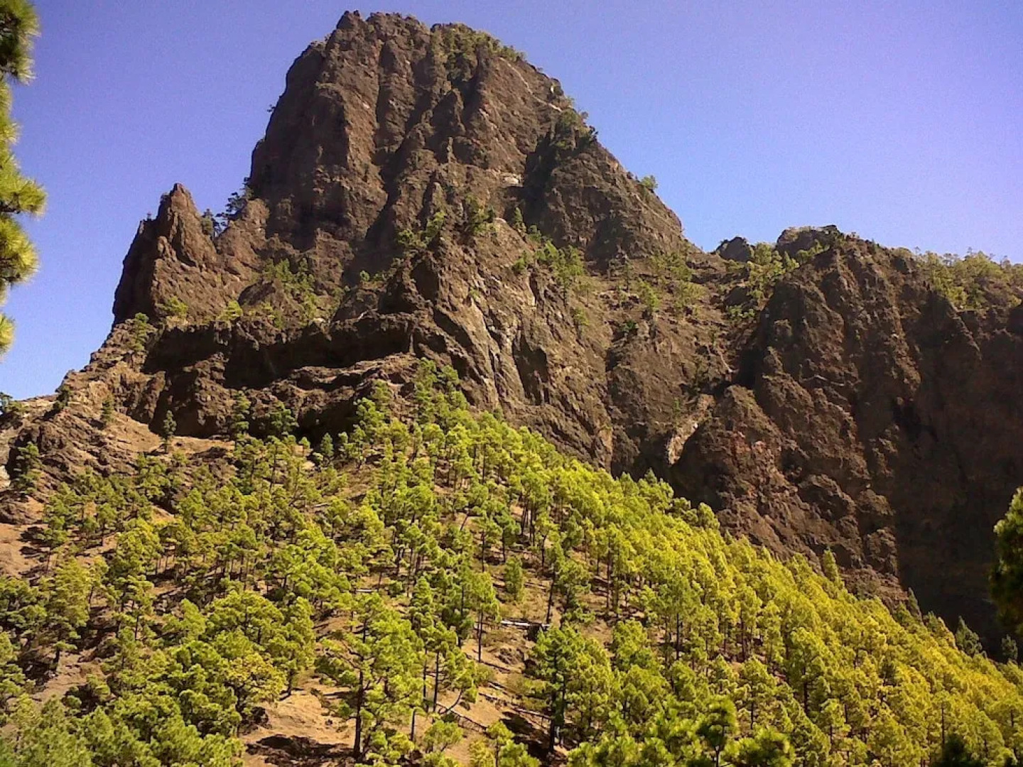 Residencial Casabela