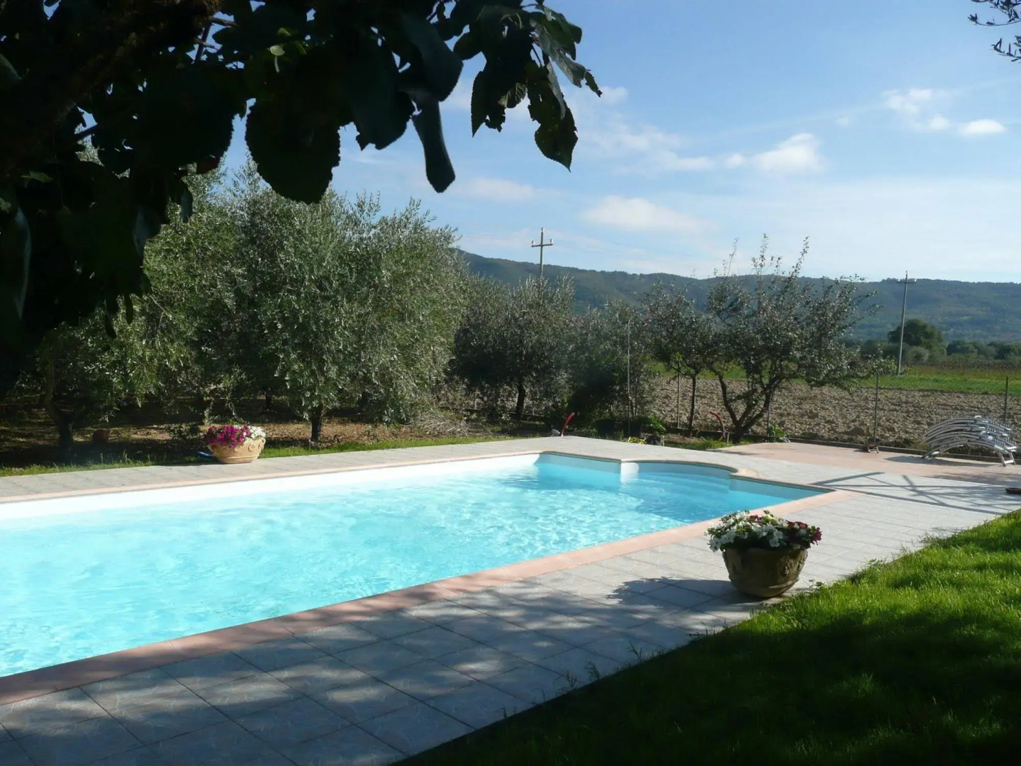 Al Giardino degli Ulivi