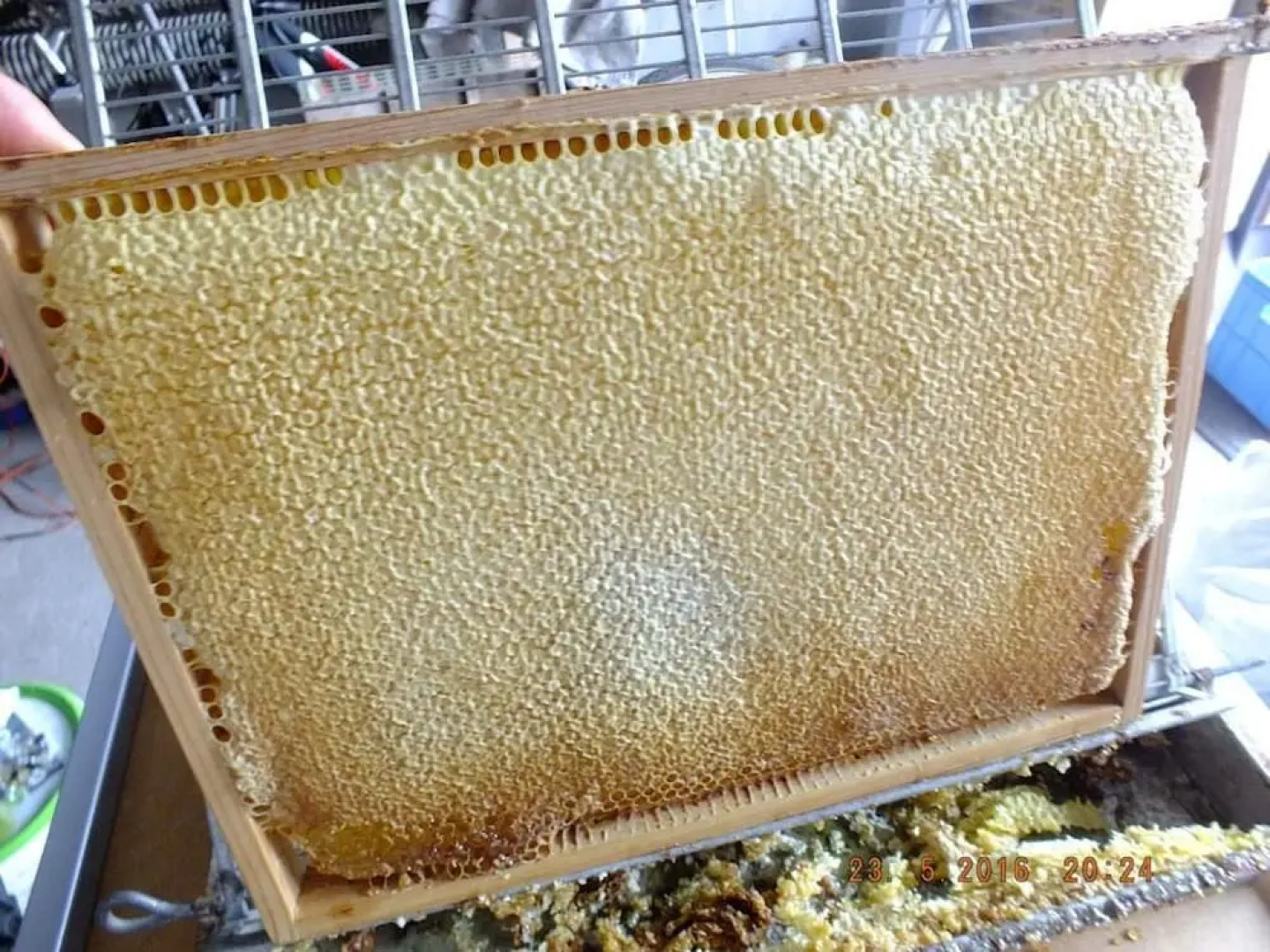 Agroturystyka Wielkie Leźno