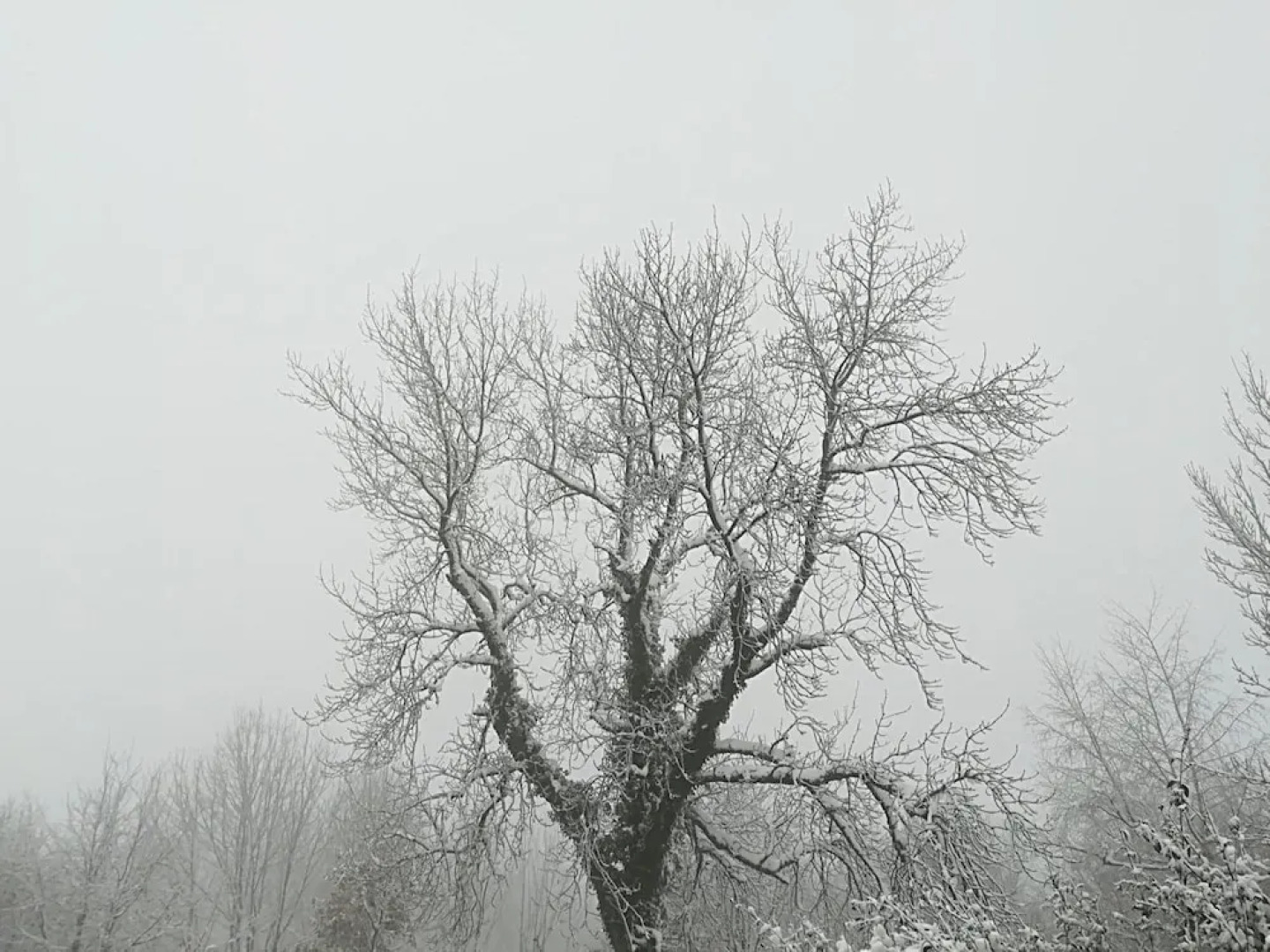 Hotel Santuario Urkiola