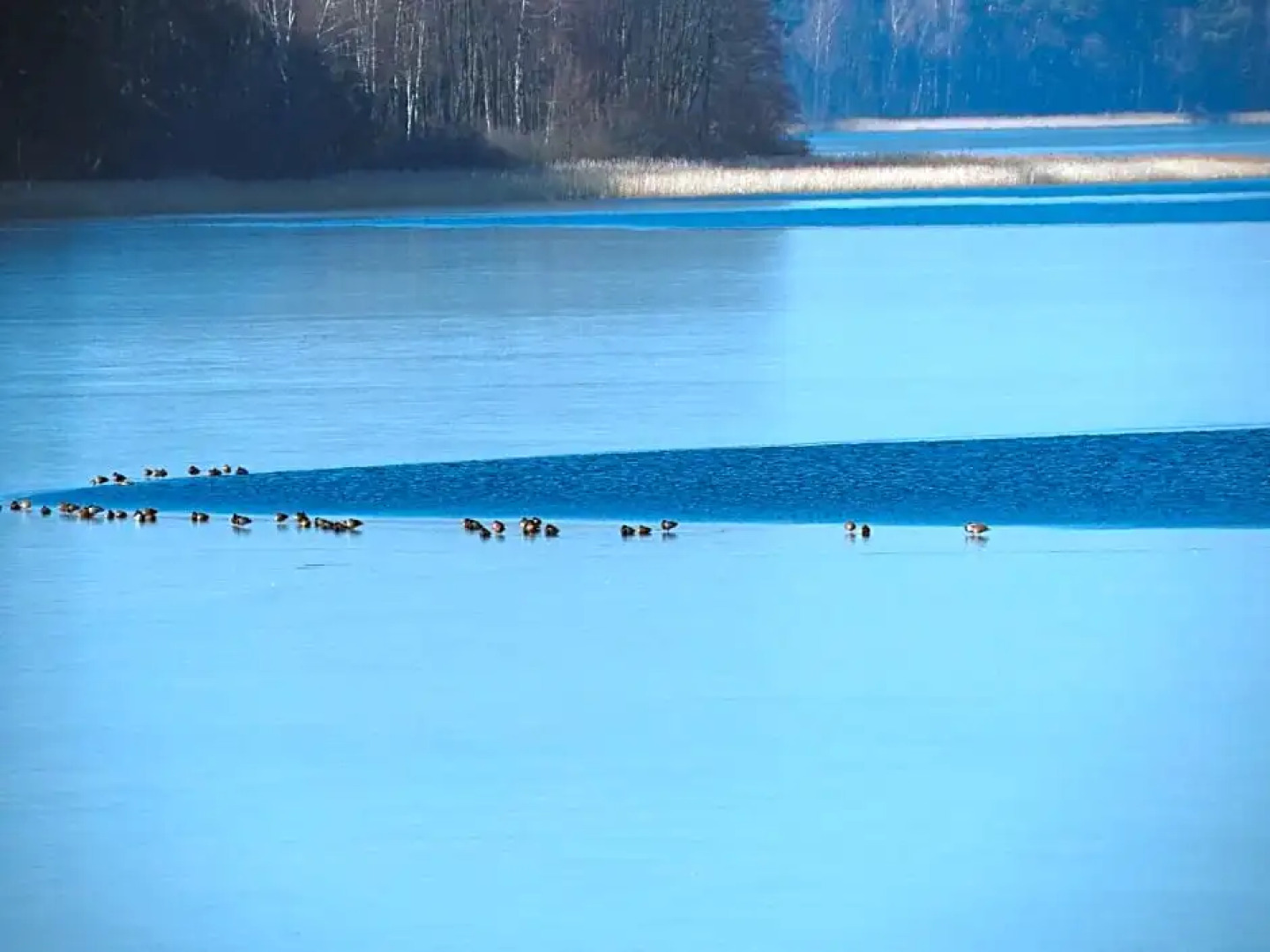 Zakatek Borsk, Jasnochowka 2, Domek 37