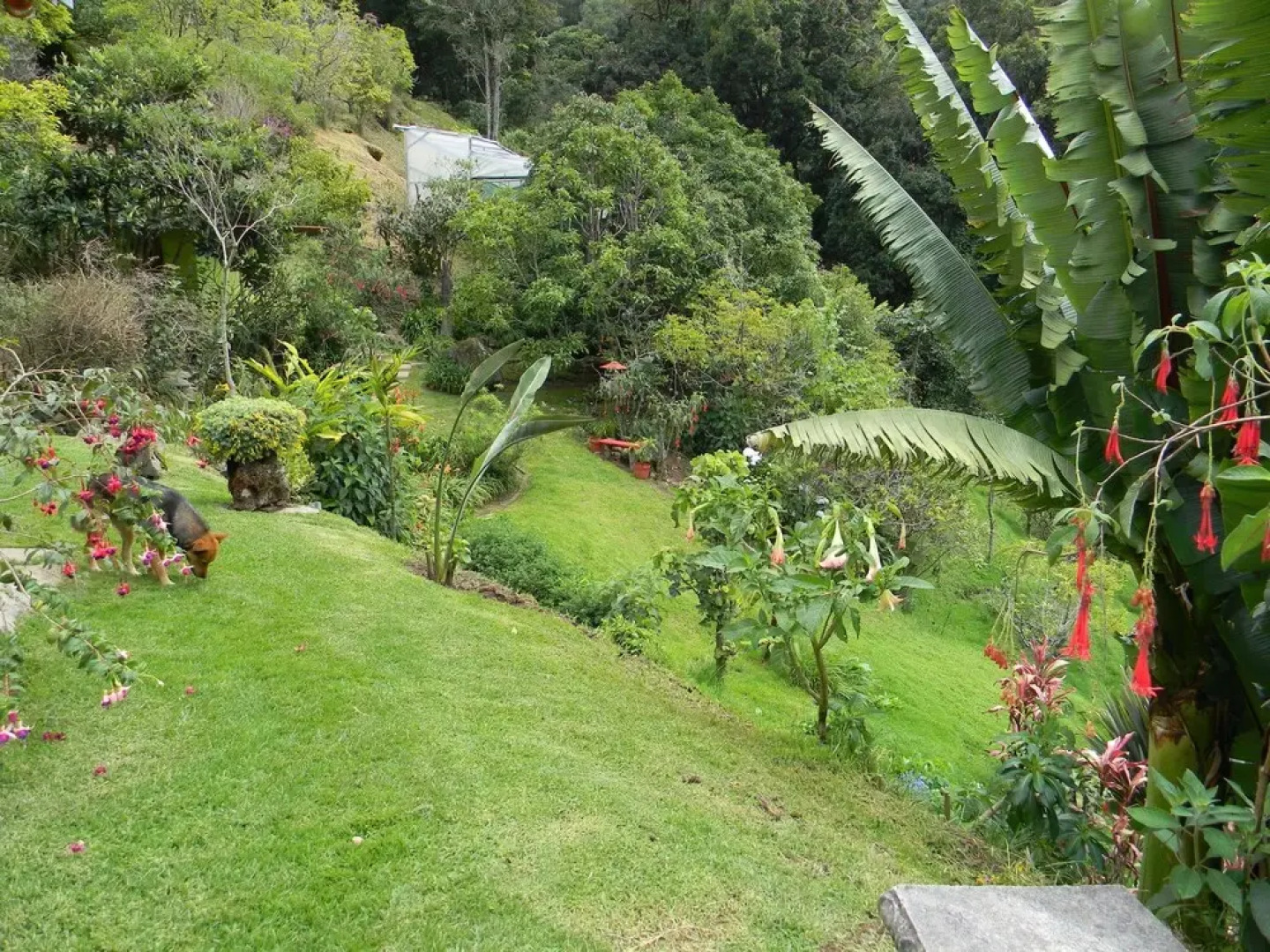 Casa San Rafael del Pedregolso