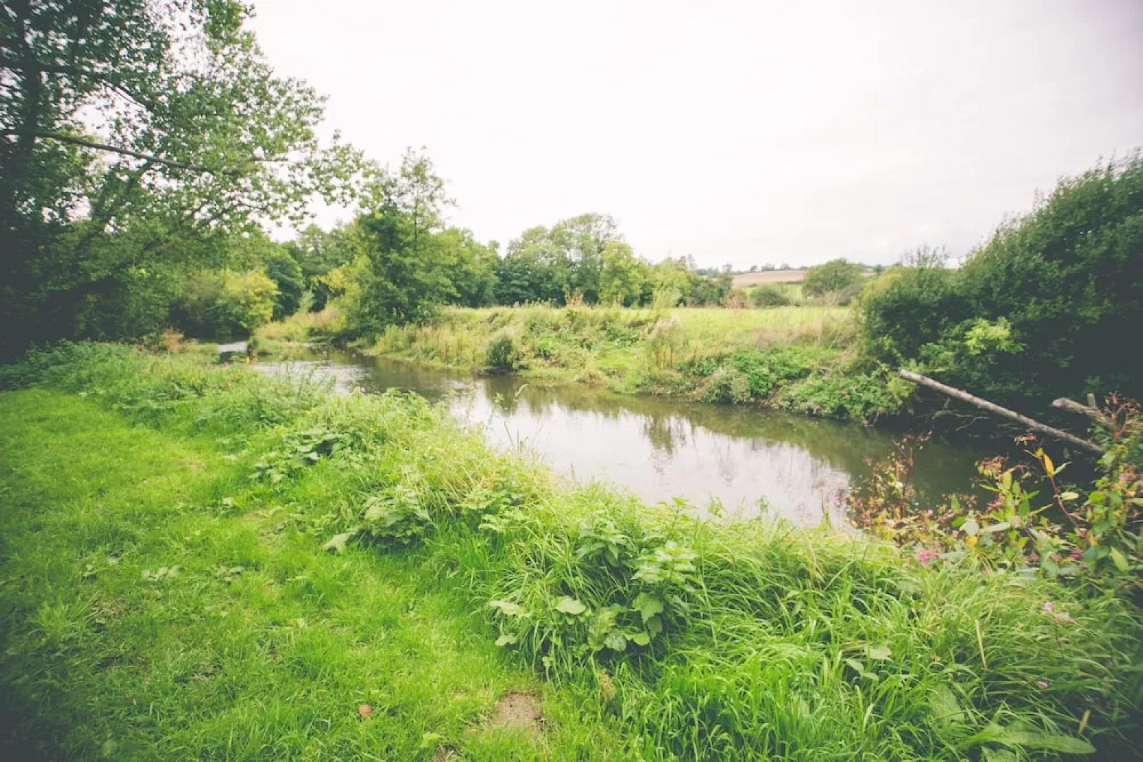 Weycroft Mill House Bed and Breakfast