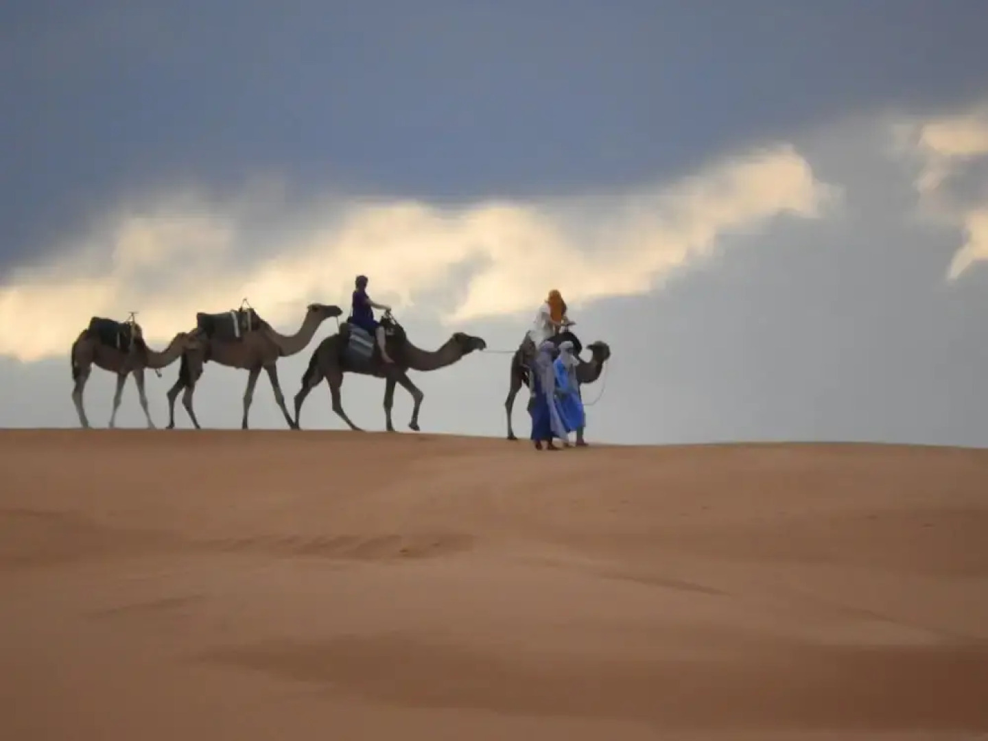 Sahara Camel Trips
