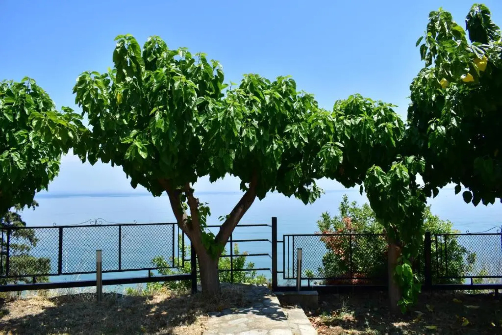 White Clam Vintage House with sea view & garden