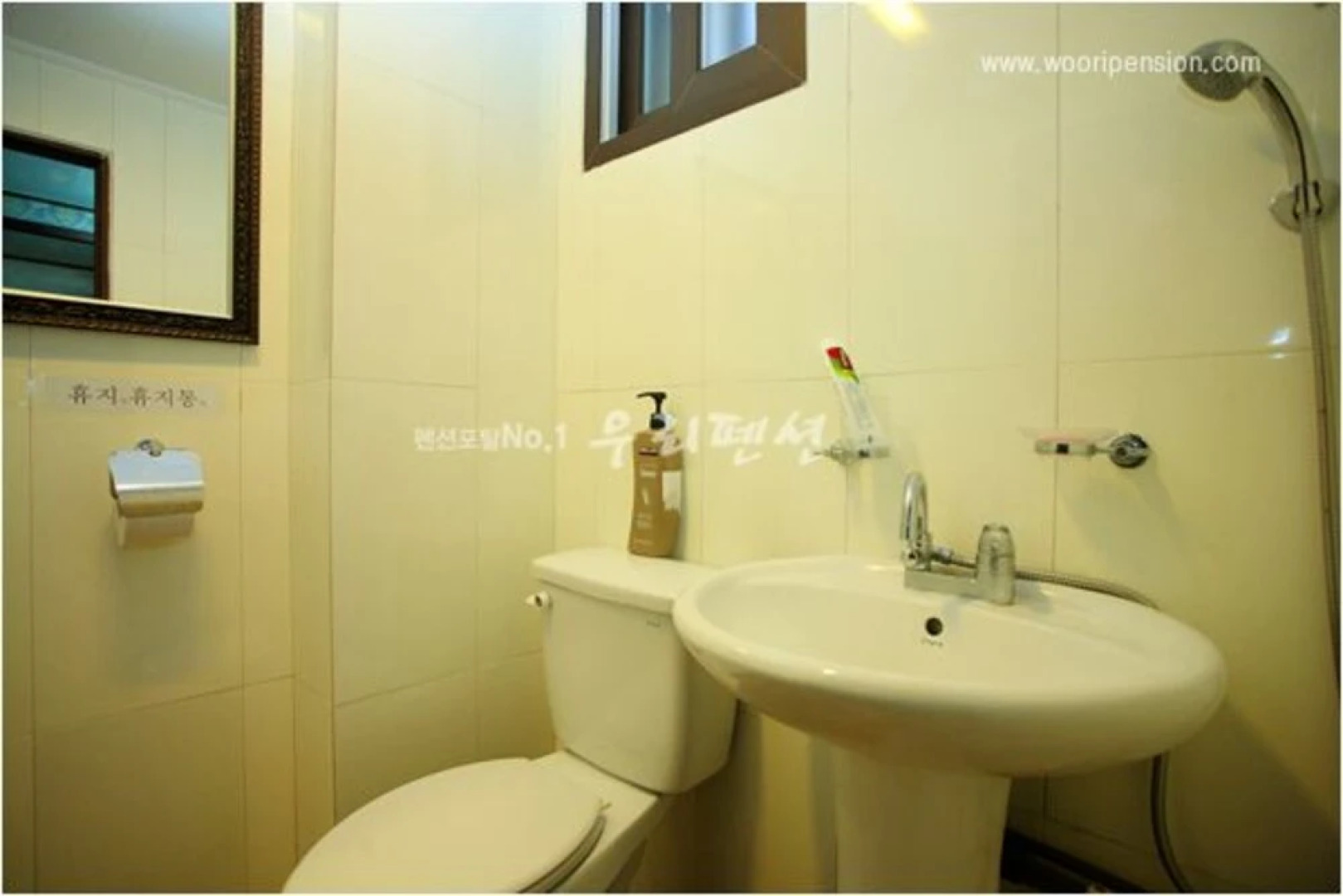 Hongcheon Sinyeong Pension