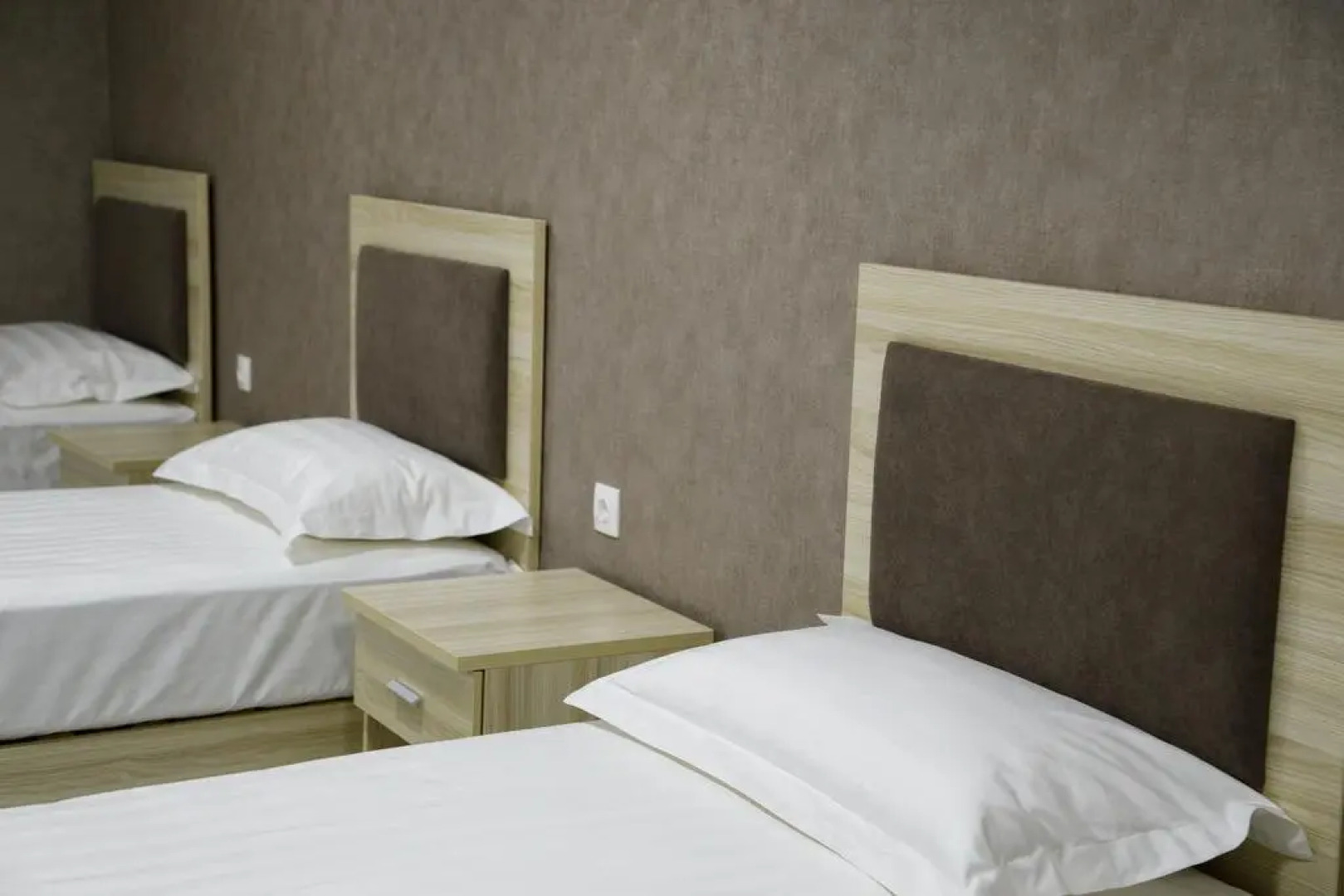 Белая медведица