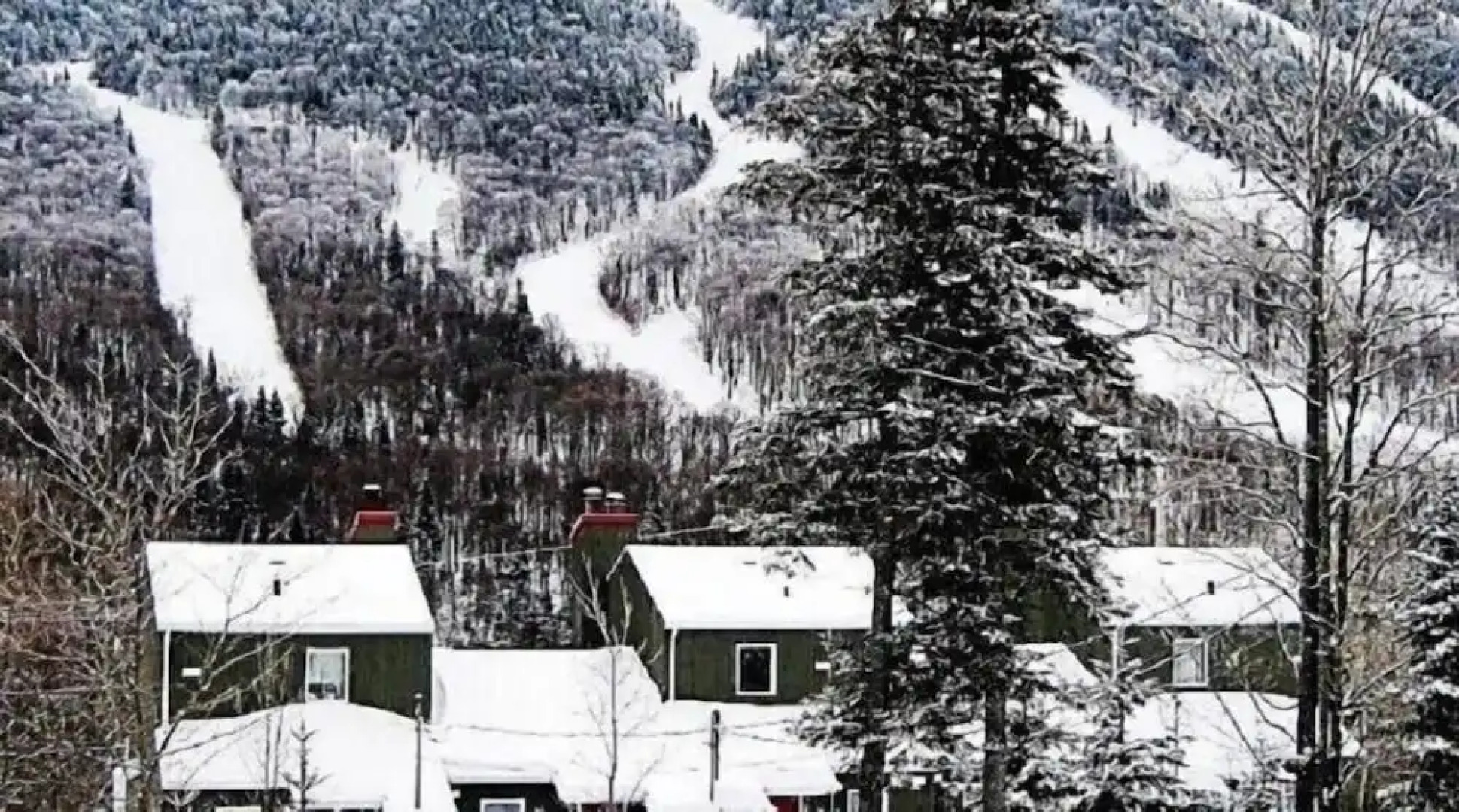 Condos Mont du Midi 64