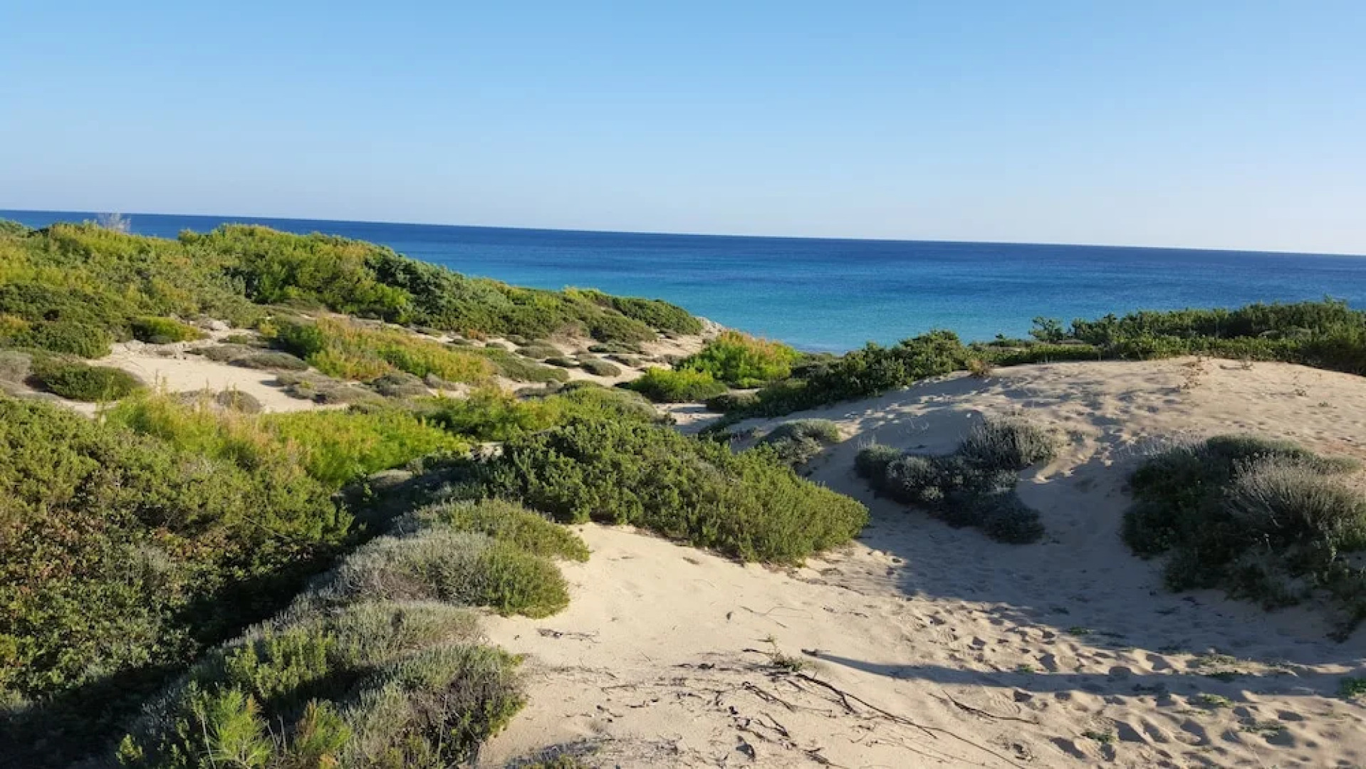 Villa Boschetto B&B - Apartments