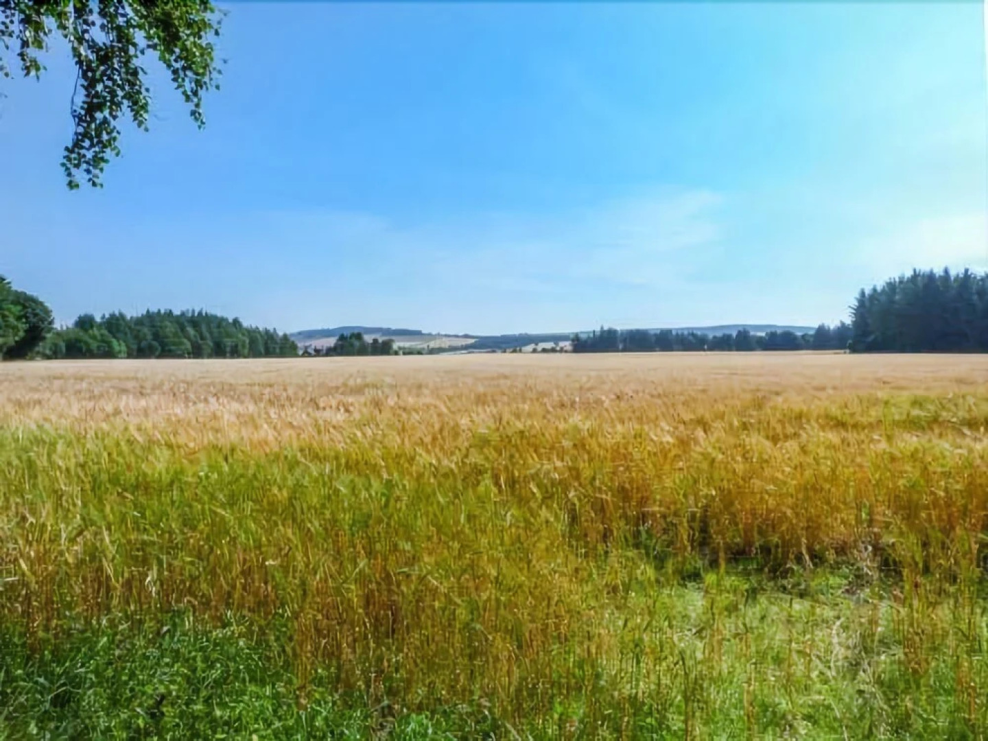 Woodcutter's Cottage
