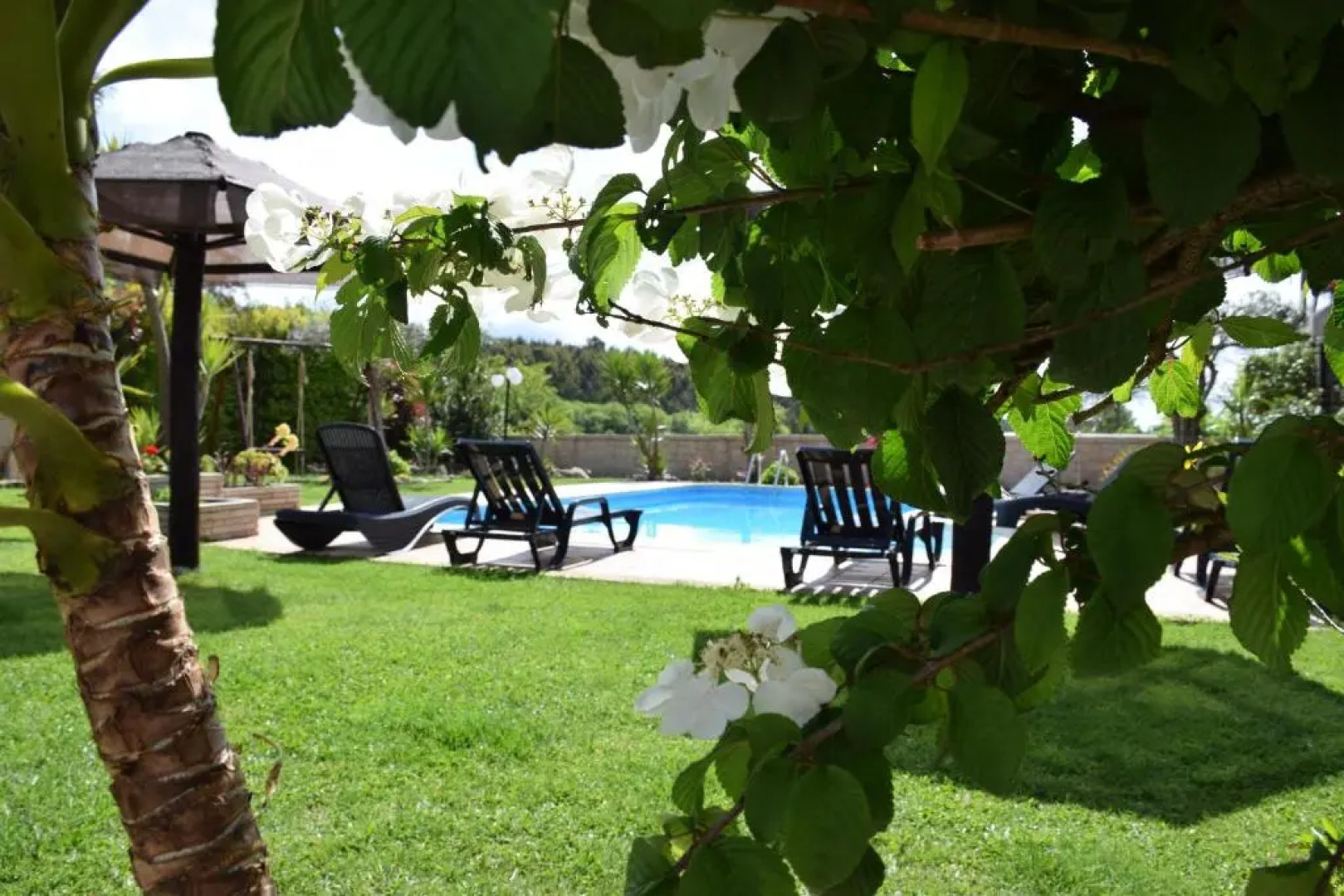 Alagoas4Family - Country House