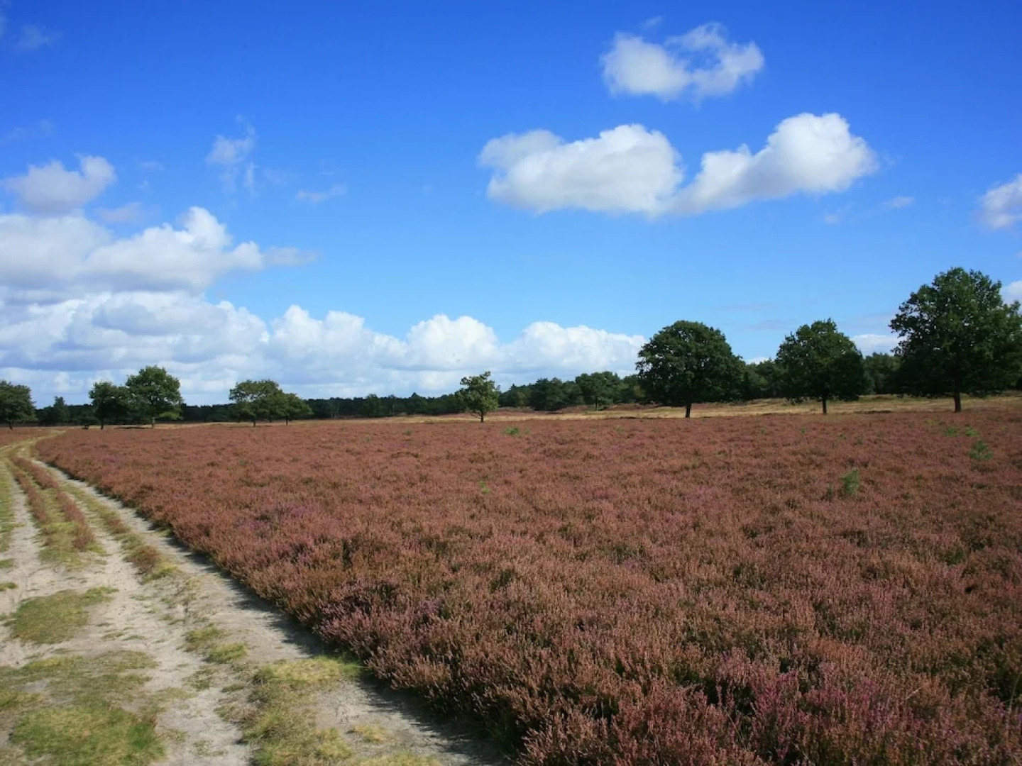 Comfortable holiday home with dishwasher in a nature reserve
