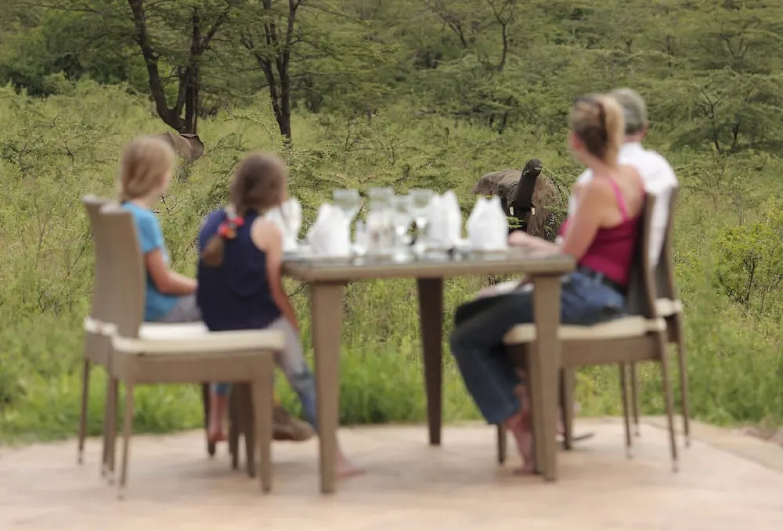 Spirit Of The Masai Mara