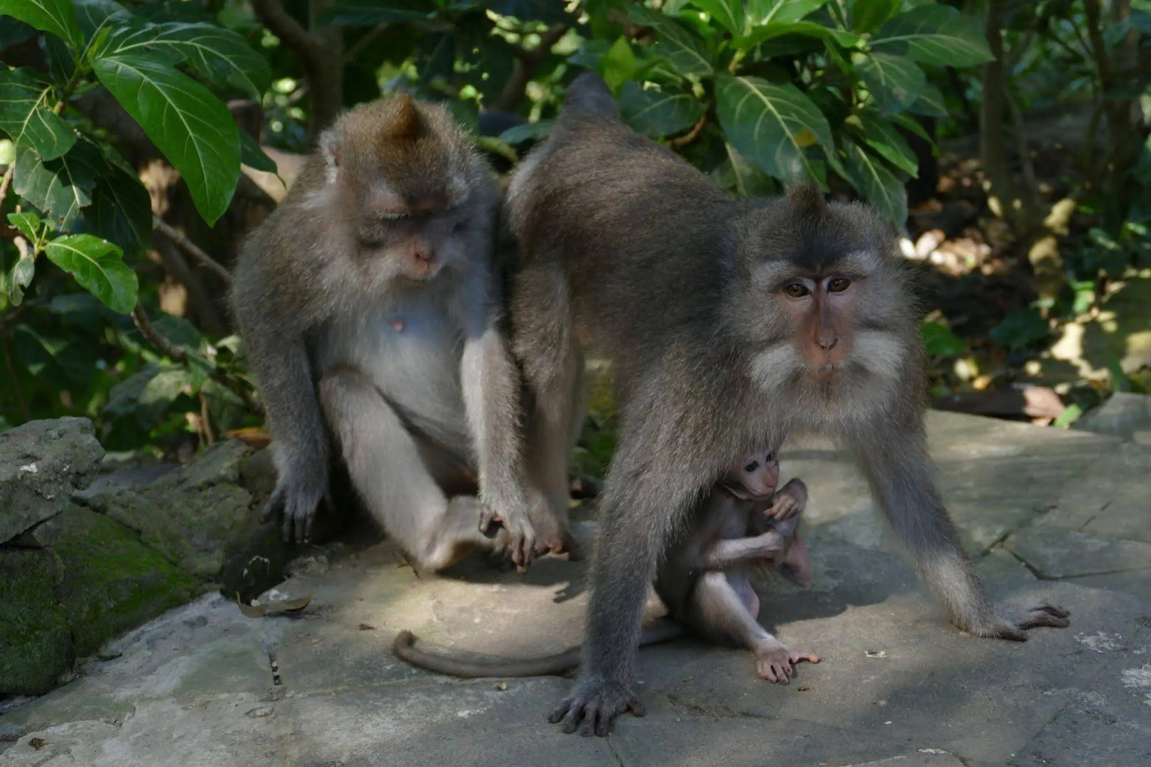 Alami Boutique Villas & Resort