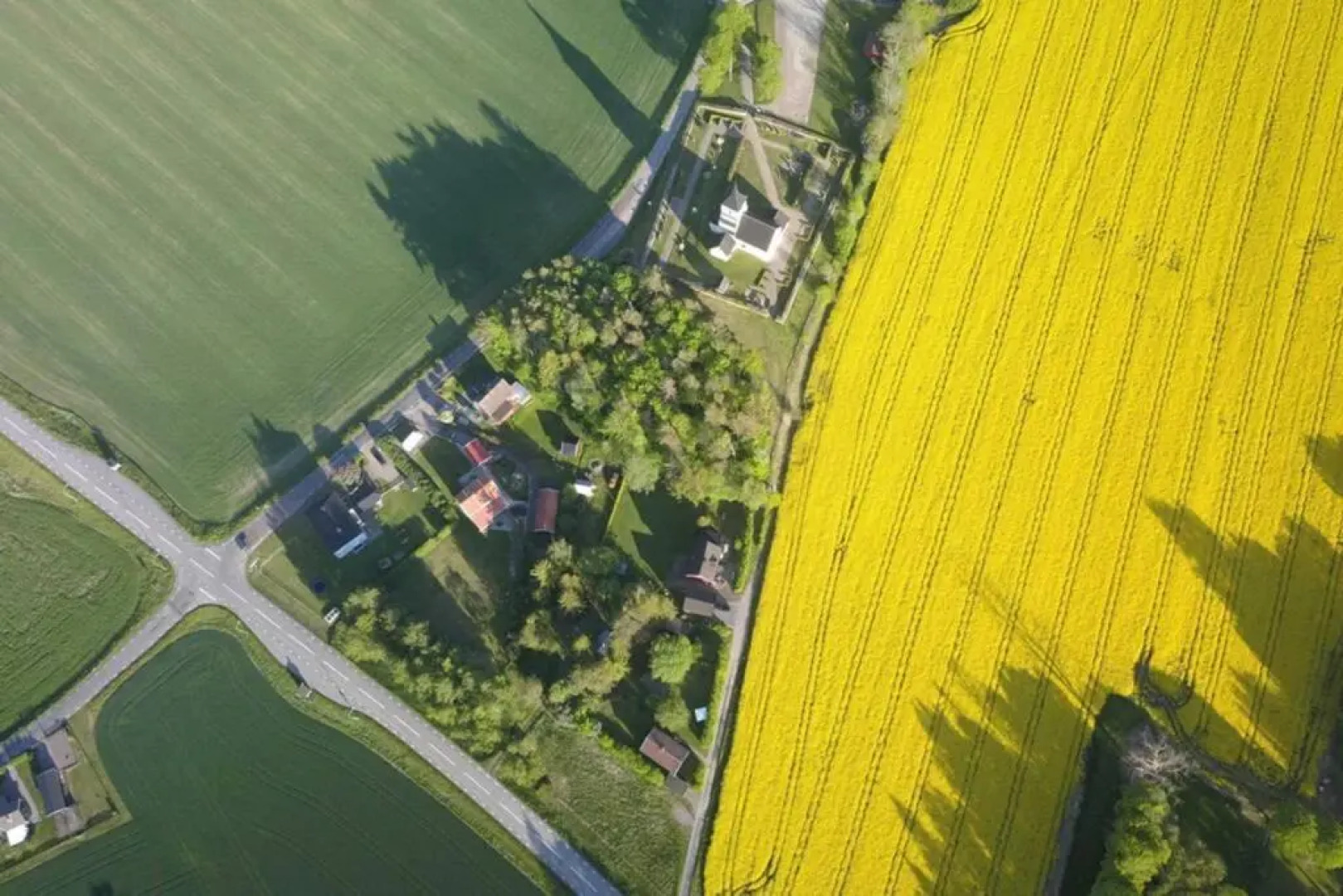 The Cozy Little House