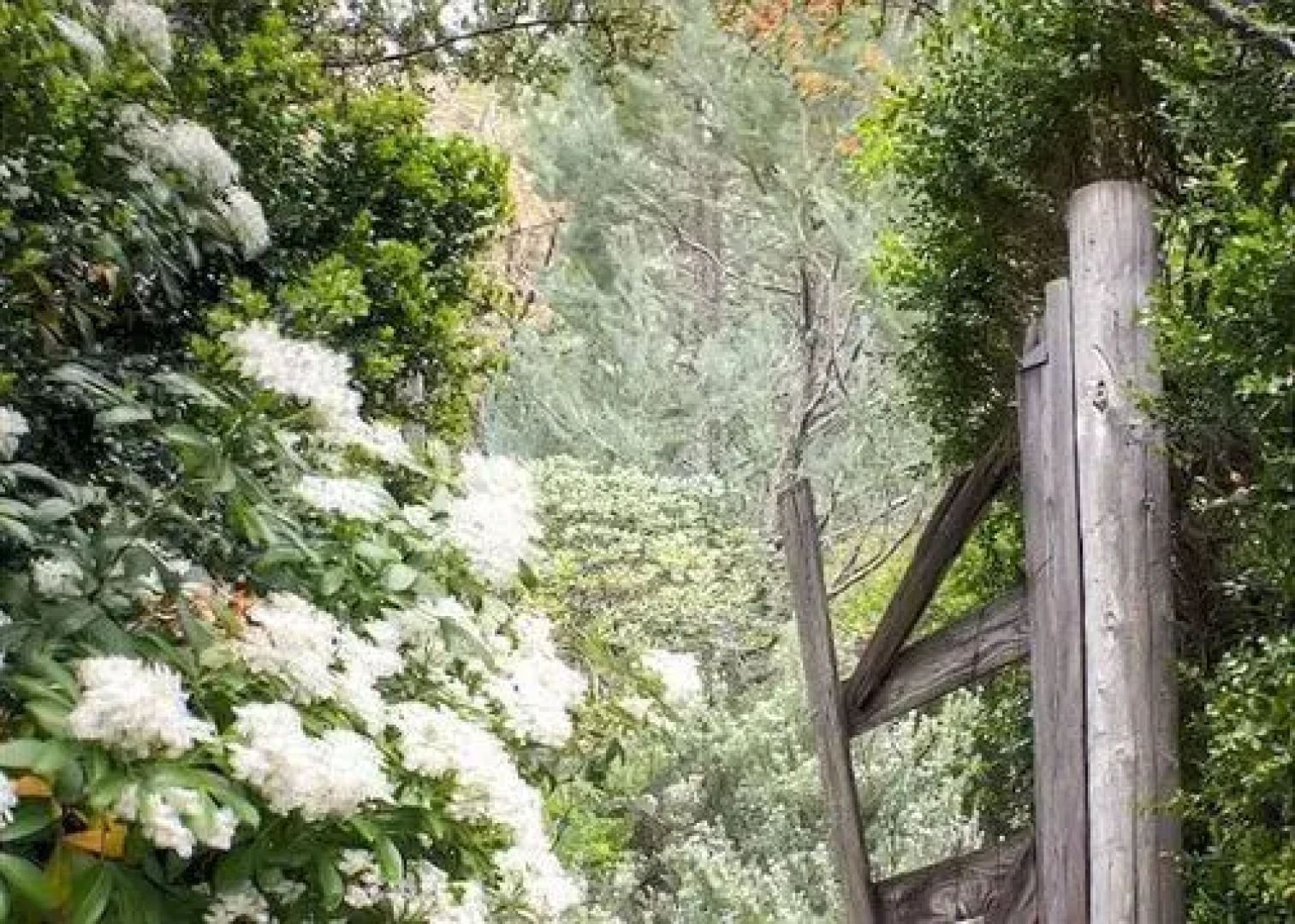 Casa PinoStella 2 Br Home by RedAwning