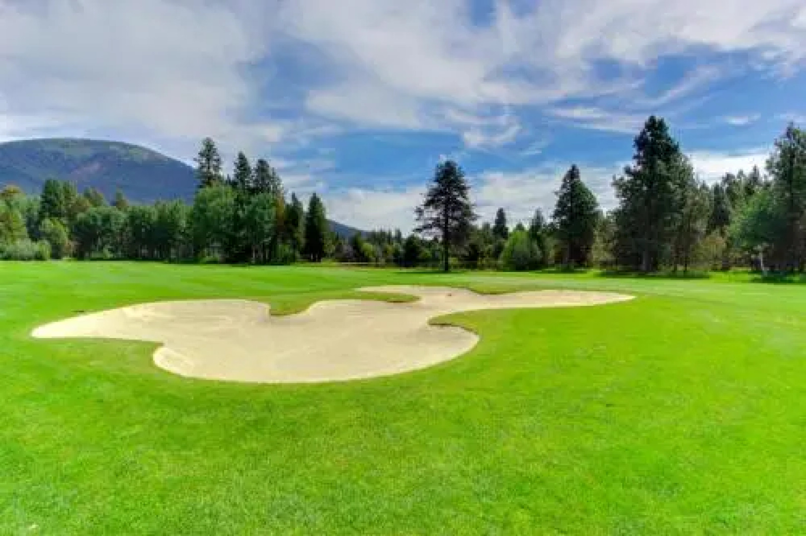 Black Butte Big Meadow's 11th Fairway