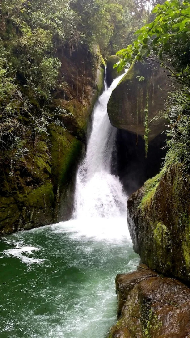 Quaint Mtn Cabins in San Gerardo Dota