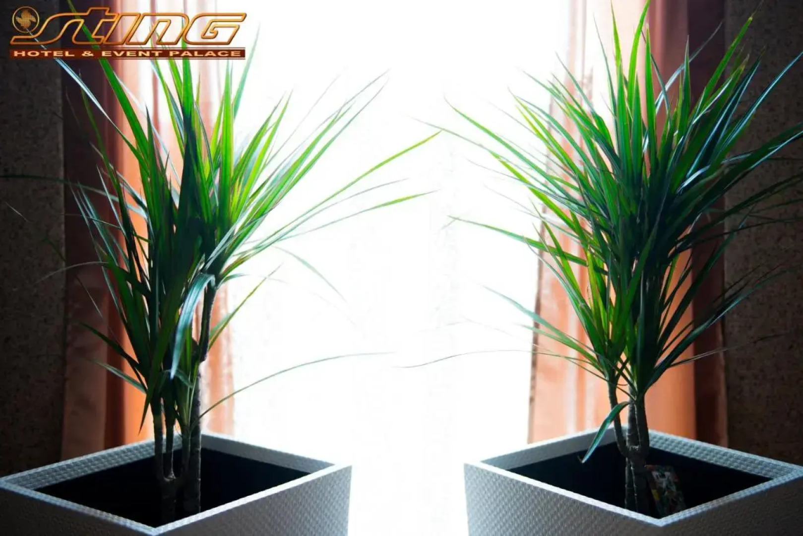 Sting Hotel & Event Palace