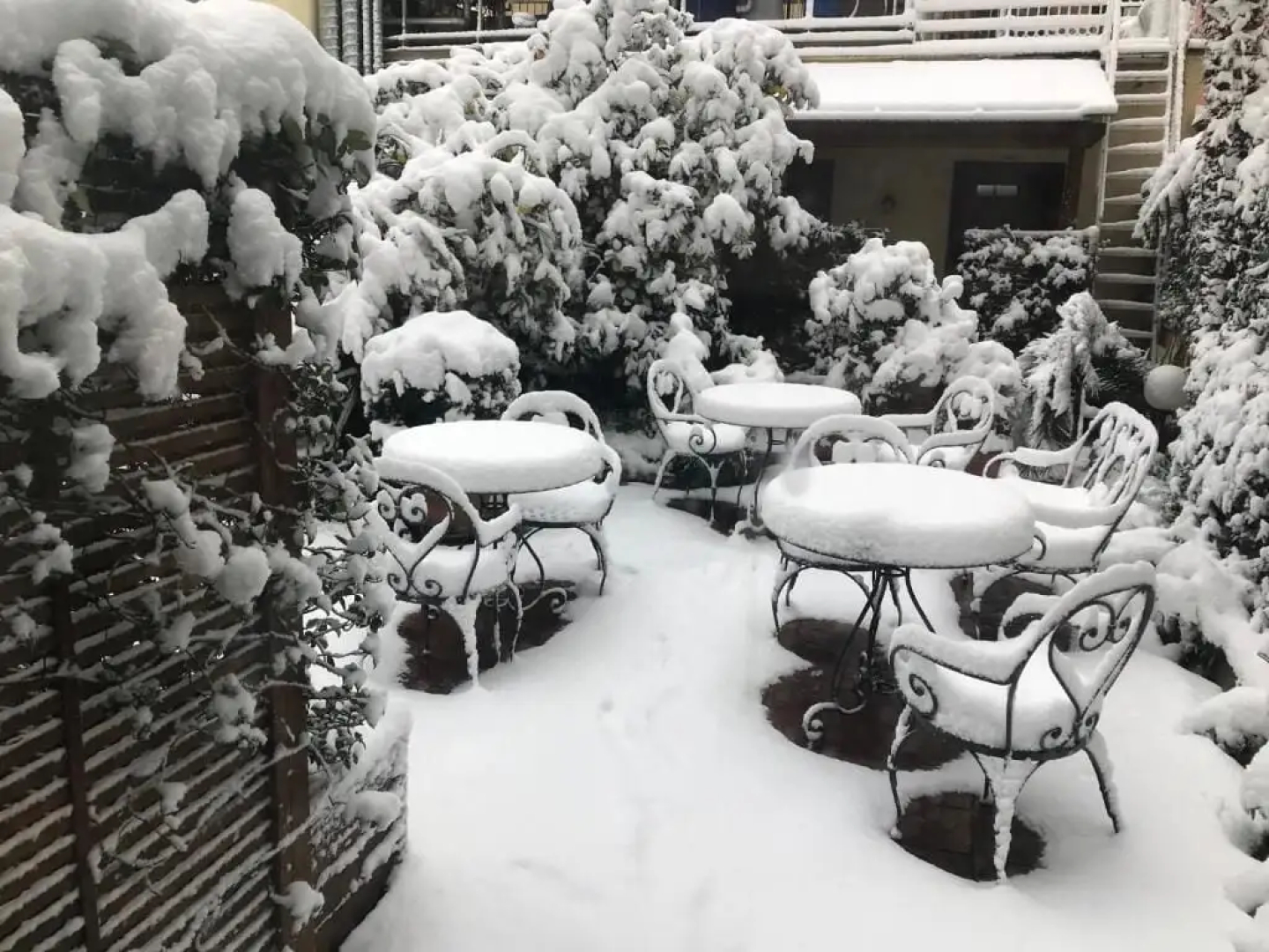 Hotel Astoria Garden