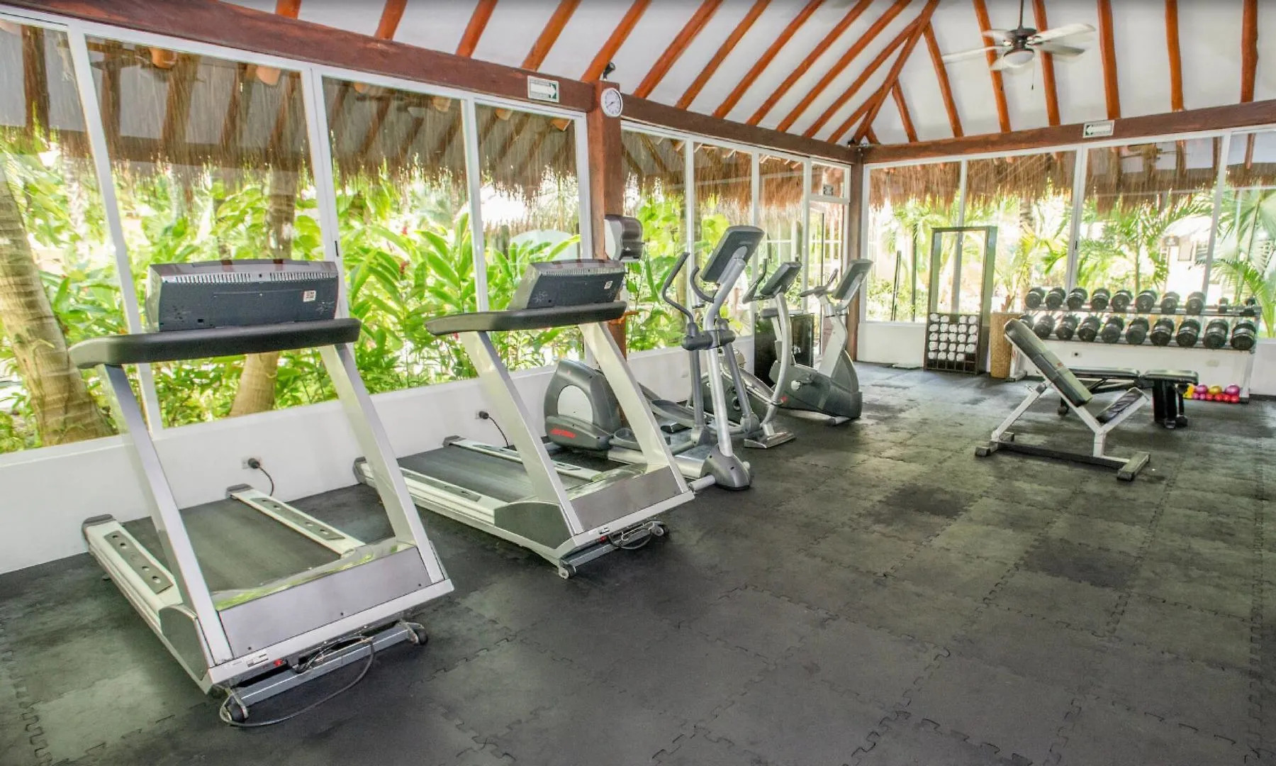 Hidden Beach Resort Au Naturel Adults Only, Catamarán, Cenote, All & More Inclusive