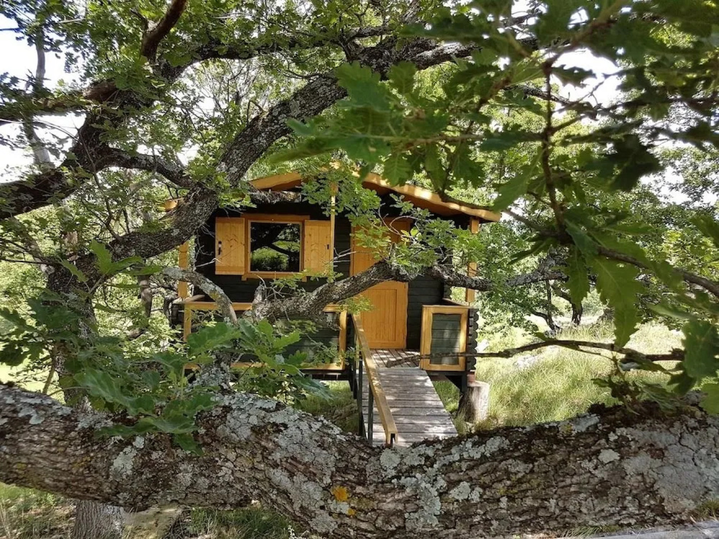 LES TRUFFIERS Cabane