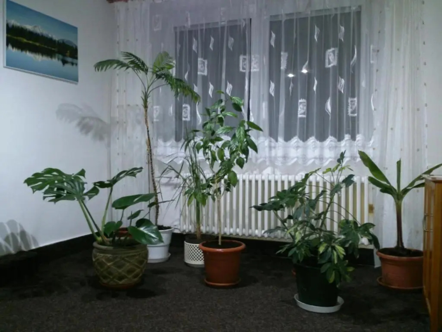 Sunnystreet Guesthouse