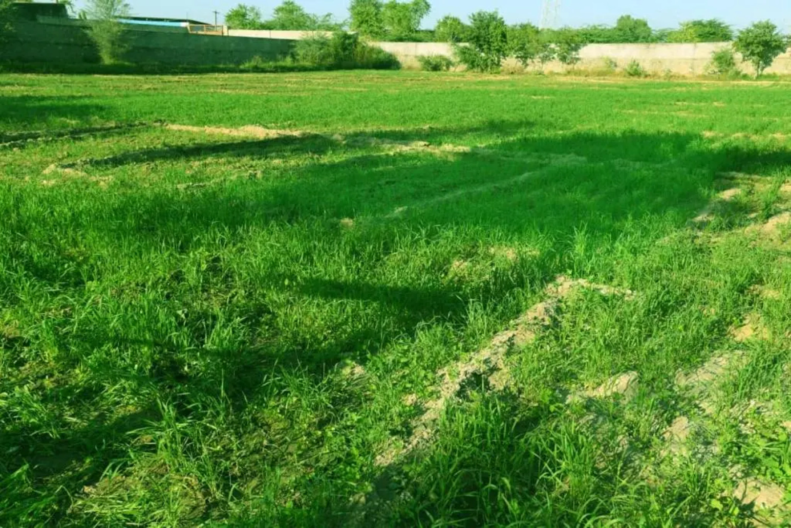 Hotel Rani Bagh Resort