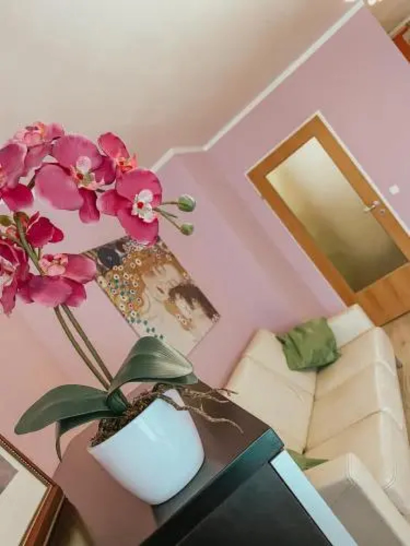 Vienna Citycenter+Terrace+Parking