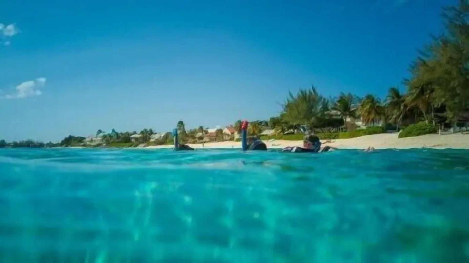 Suite 1 Beach Shuttle Concierge Garden Cats