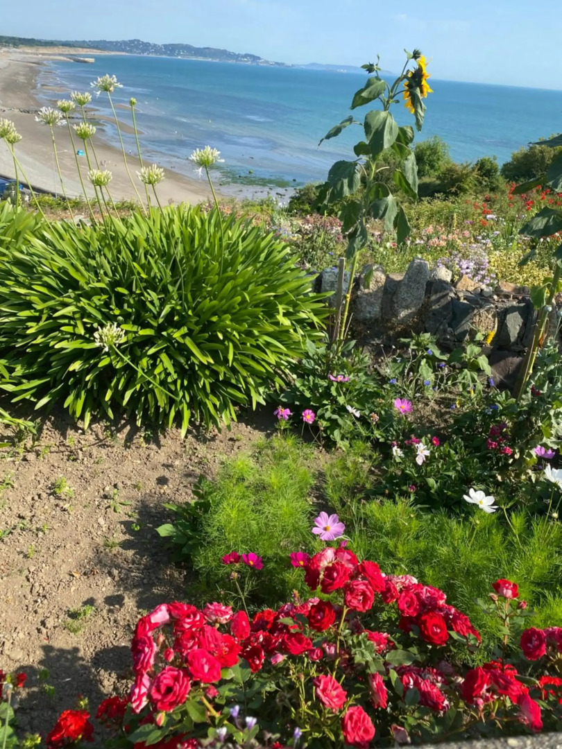 Hugo Mews Bright Studio Apartment