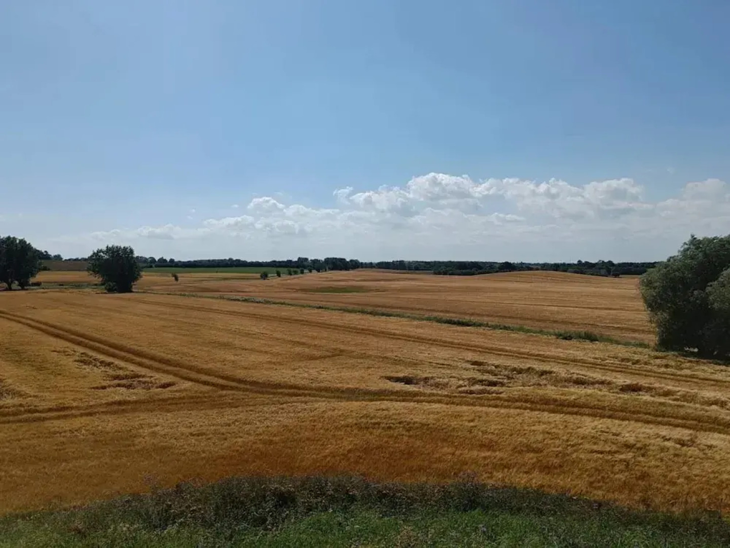 4 Person Holiday Home in Martofte