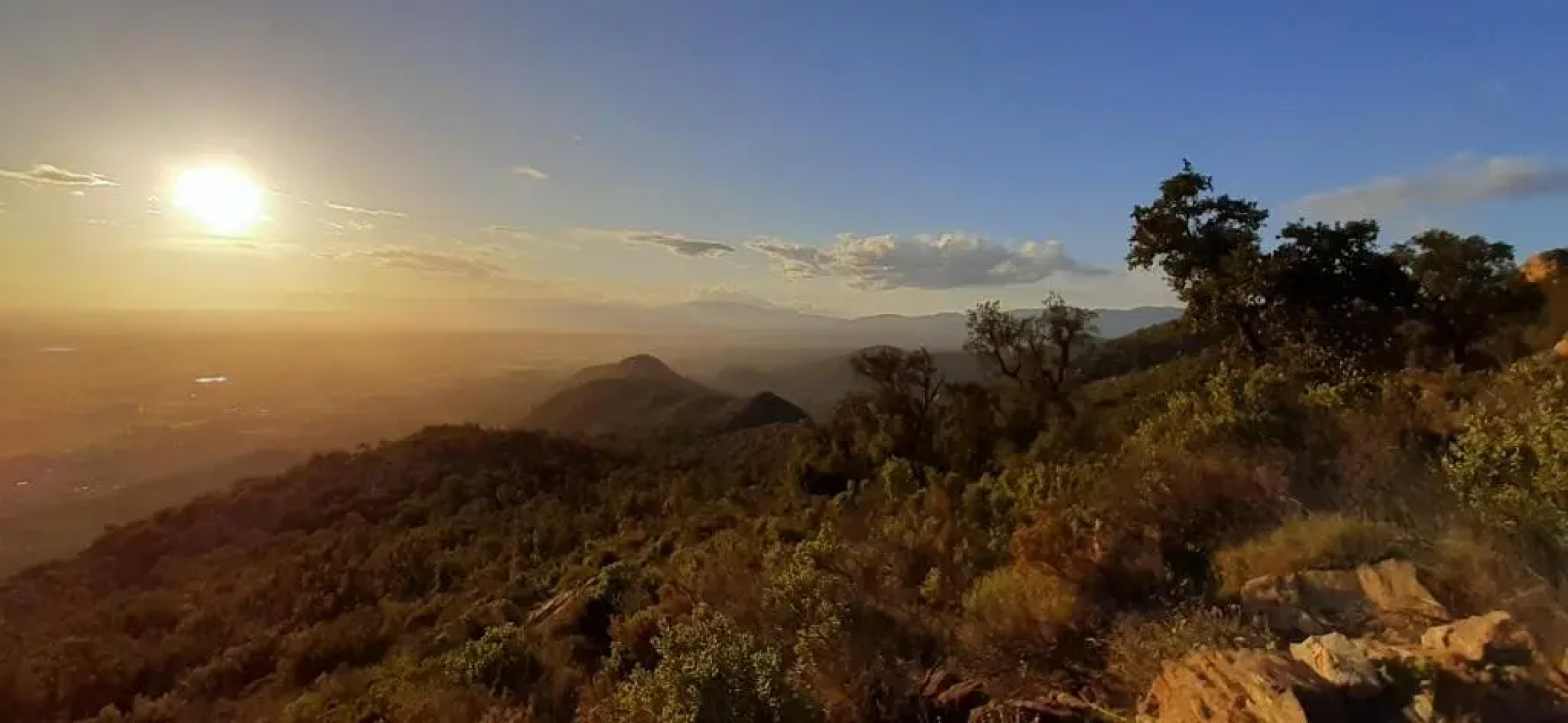 Suite & Spa Panoramic Olivars