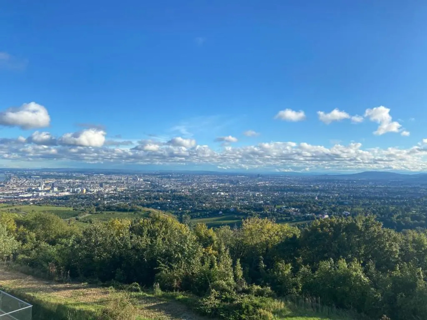 Bauernhof Oberfriessnig