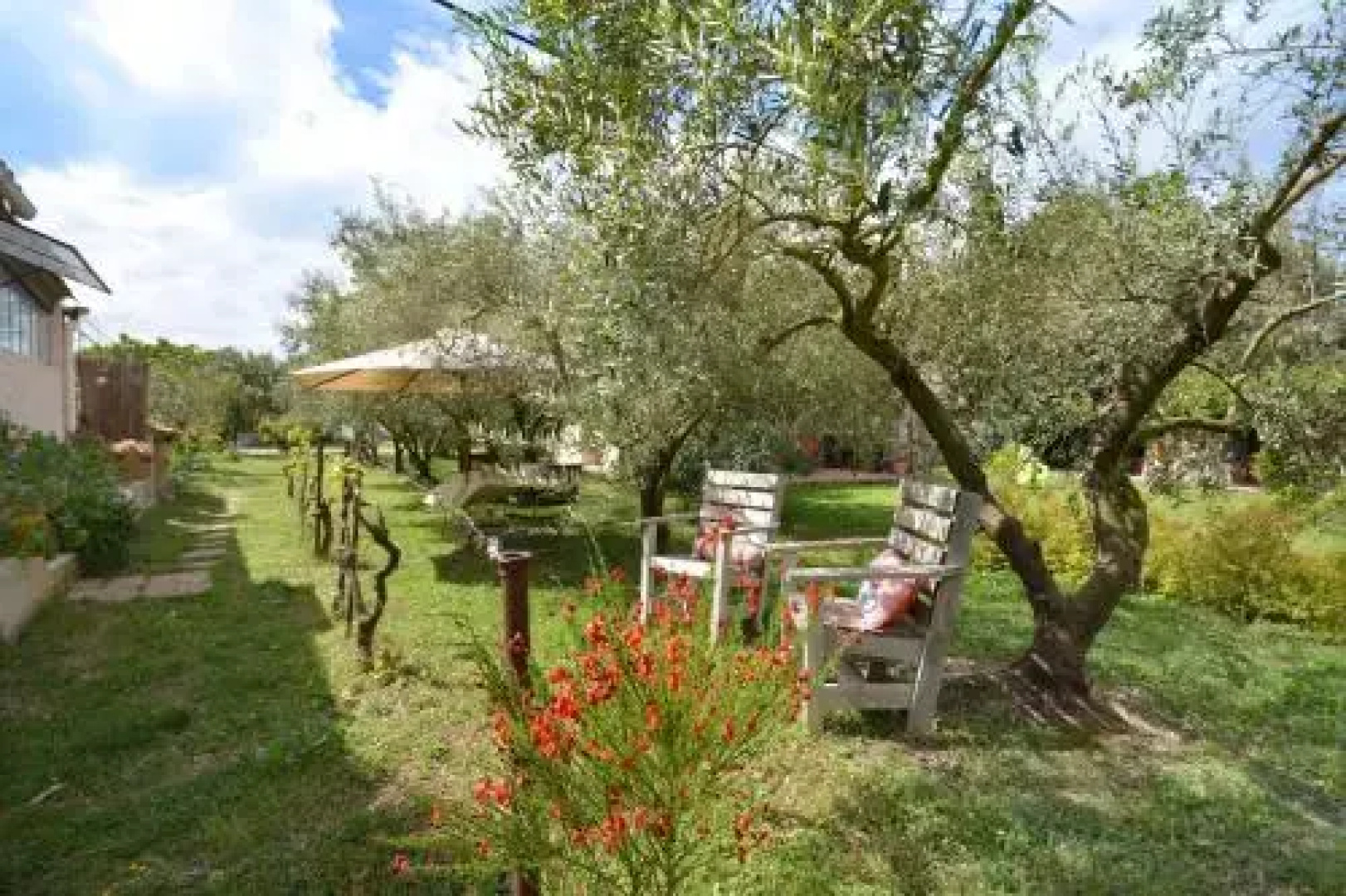 Le Cabanon de l'olivette