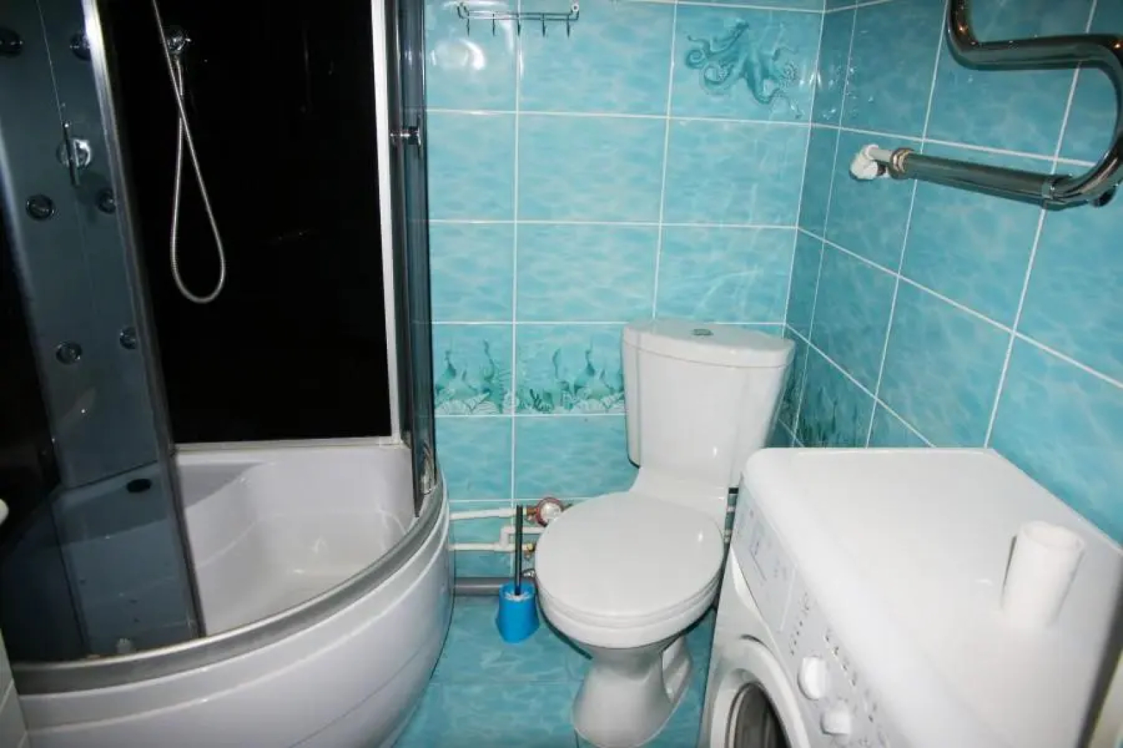 Барбарис на улице Пятилетки 113